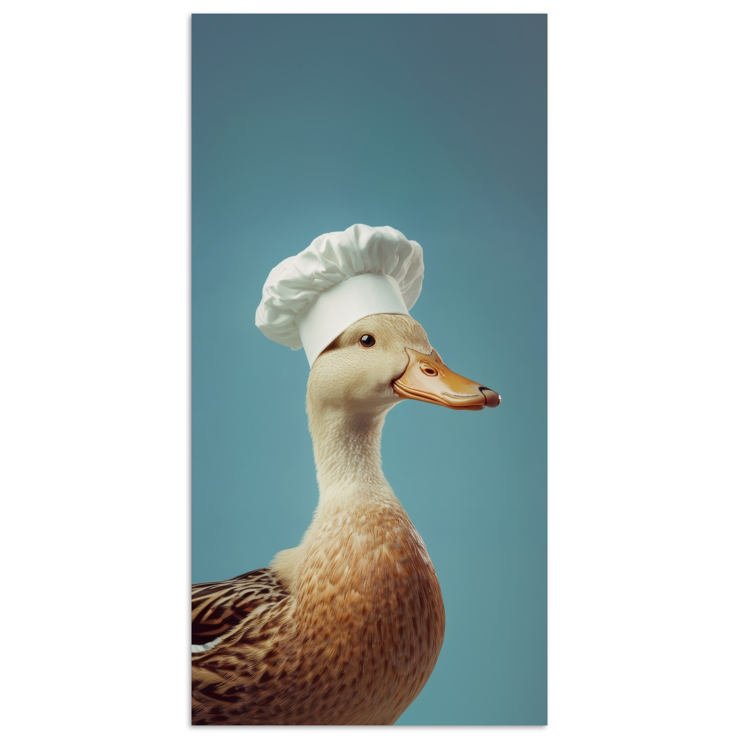 MuchoWow Poster Ente - Kochmütze - Süß - Vogel, (1 St), Poster ohne Rahmen, Wandbild, Wandposter, 20x40 cm