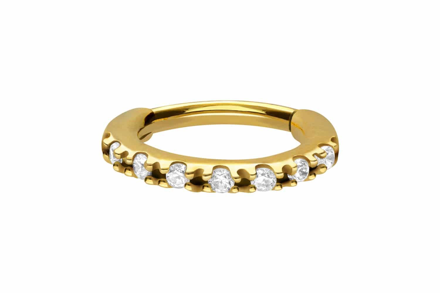 Nasenpiercing Chirurgenstahl Segmentring Clicker OVAL + EINGEFASSTE KRISTALLE