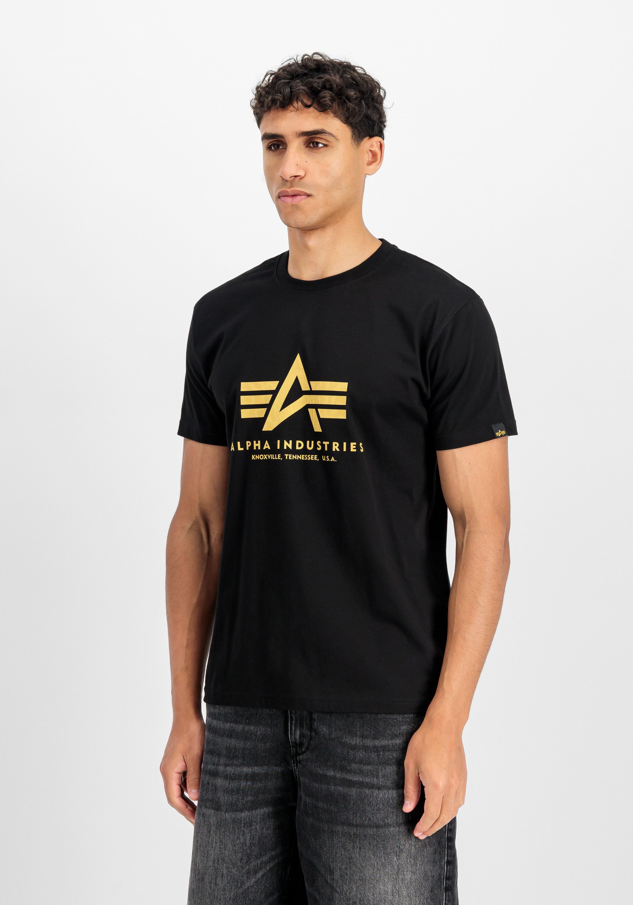 Alpha Industries T-Shirt Basic T-Shirt BL Ripstop
