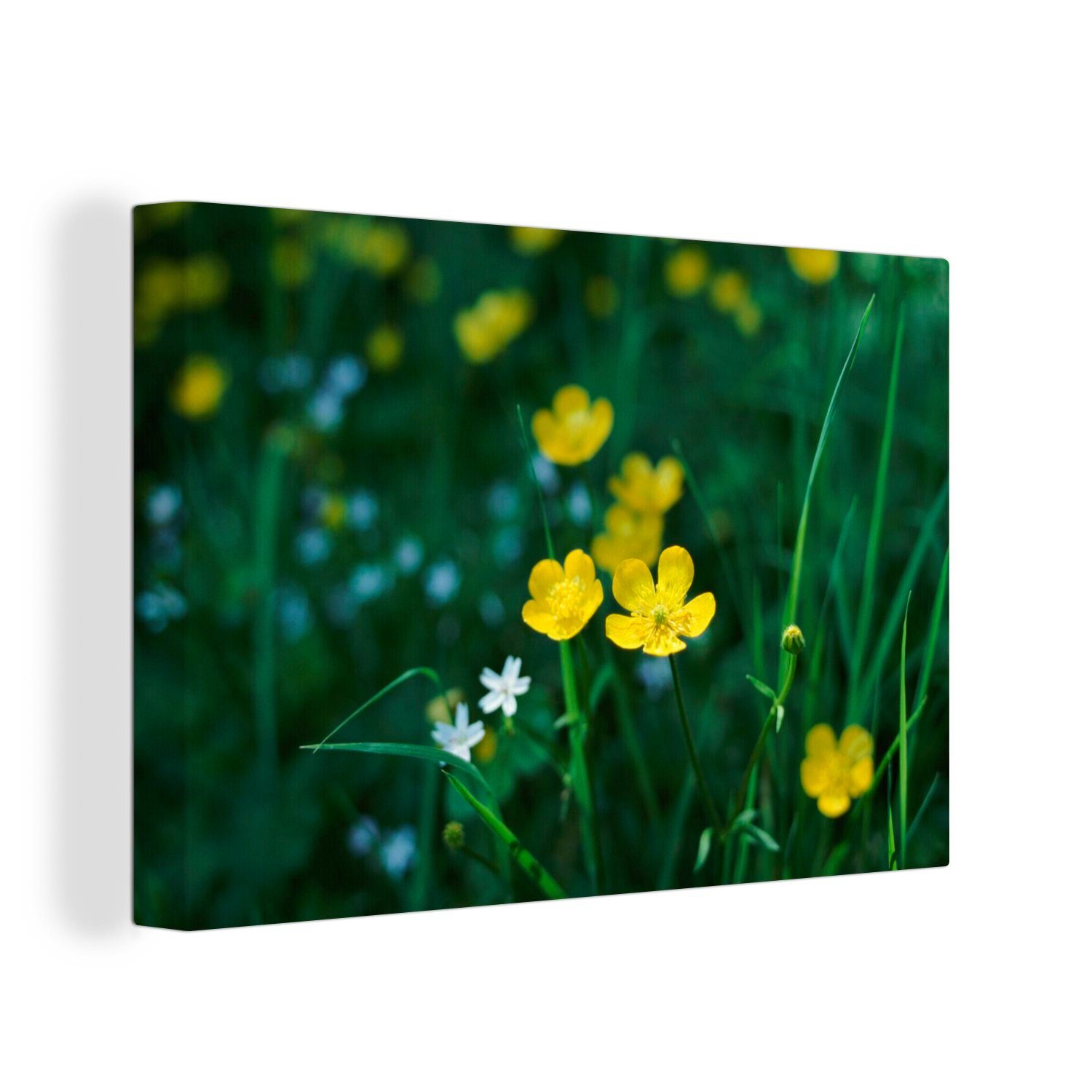 OneMillionCanvasses® Leinwandbild Butterblumen - Grün - Gras, (1 St), Wandbild Leinwandbilder, Aufhängefertig, Wanddeko, 30x20 cm