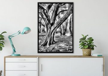 Pixxprint Leinwandbild Wald, Wanddekoration (1 St), Leinwandbild fertig bespannt, in einem Schattenfugen-Bilderrahmen gefasst, inkl. Zackenaufhänger
