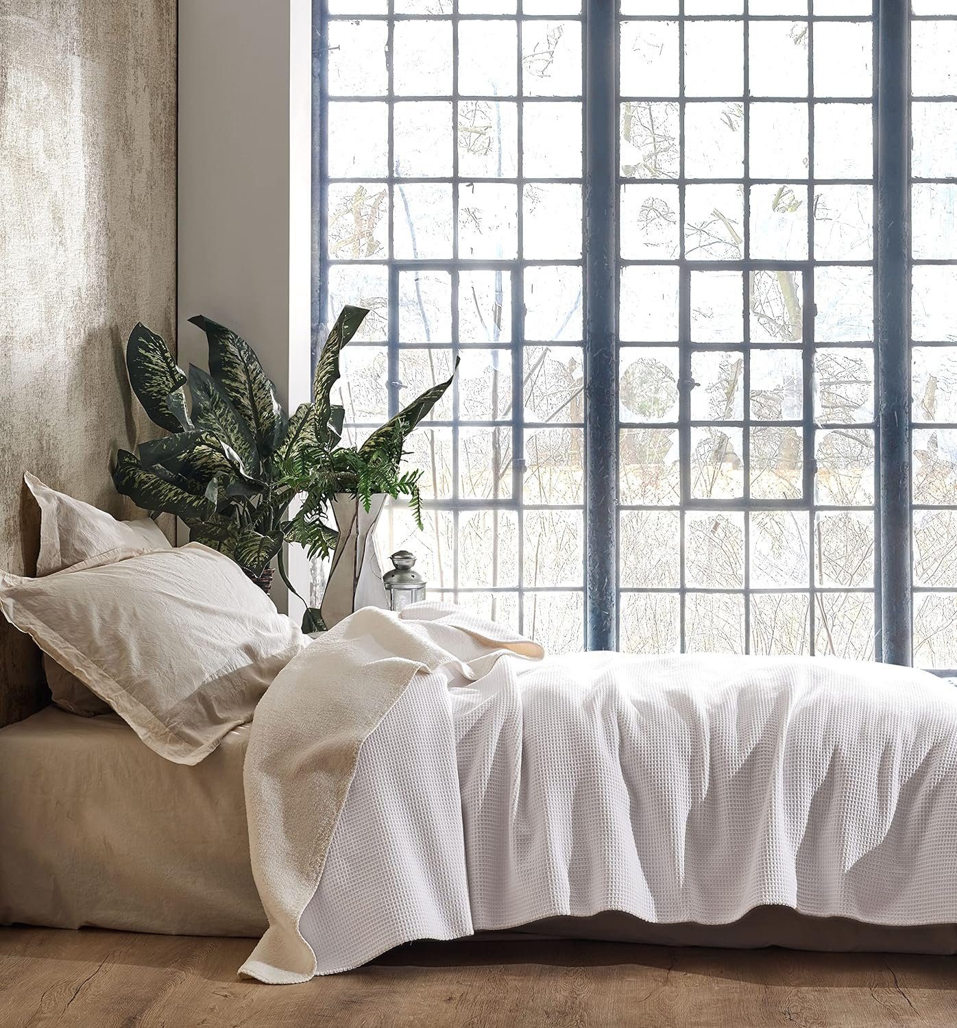 Wohndecke BOHORIA® Kuscheldecke Soft Waffle 110x170cm, günstig online kaufen