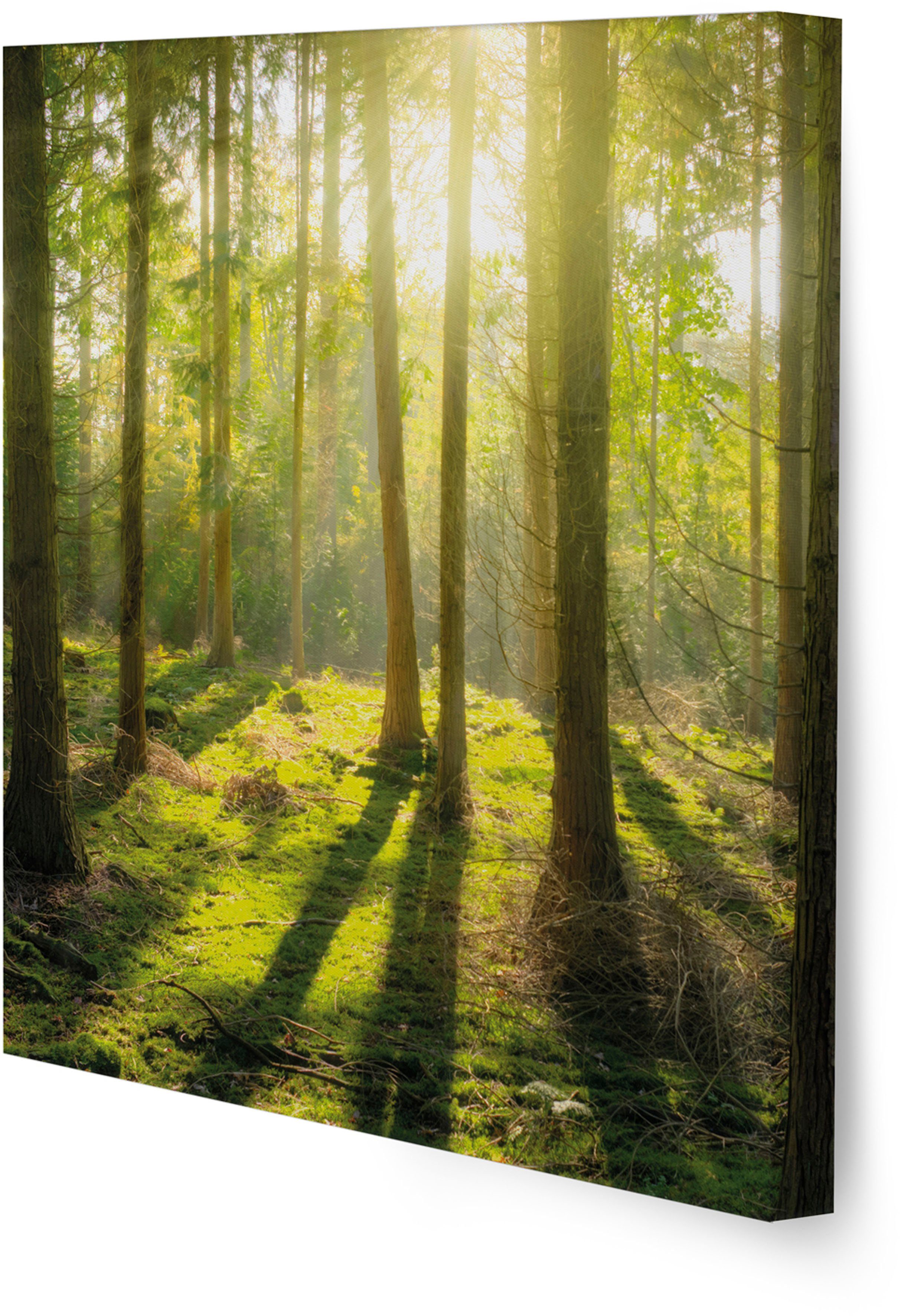 Art for the home Leinwandbild Pure Natur, Landschaft (Set), grüne Stille SET 5-teilig 80x60 cm. € 54,99