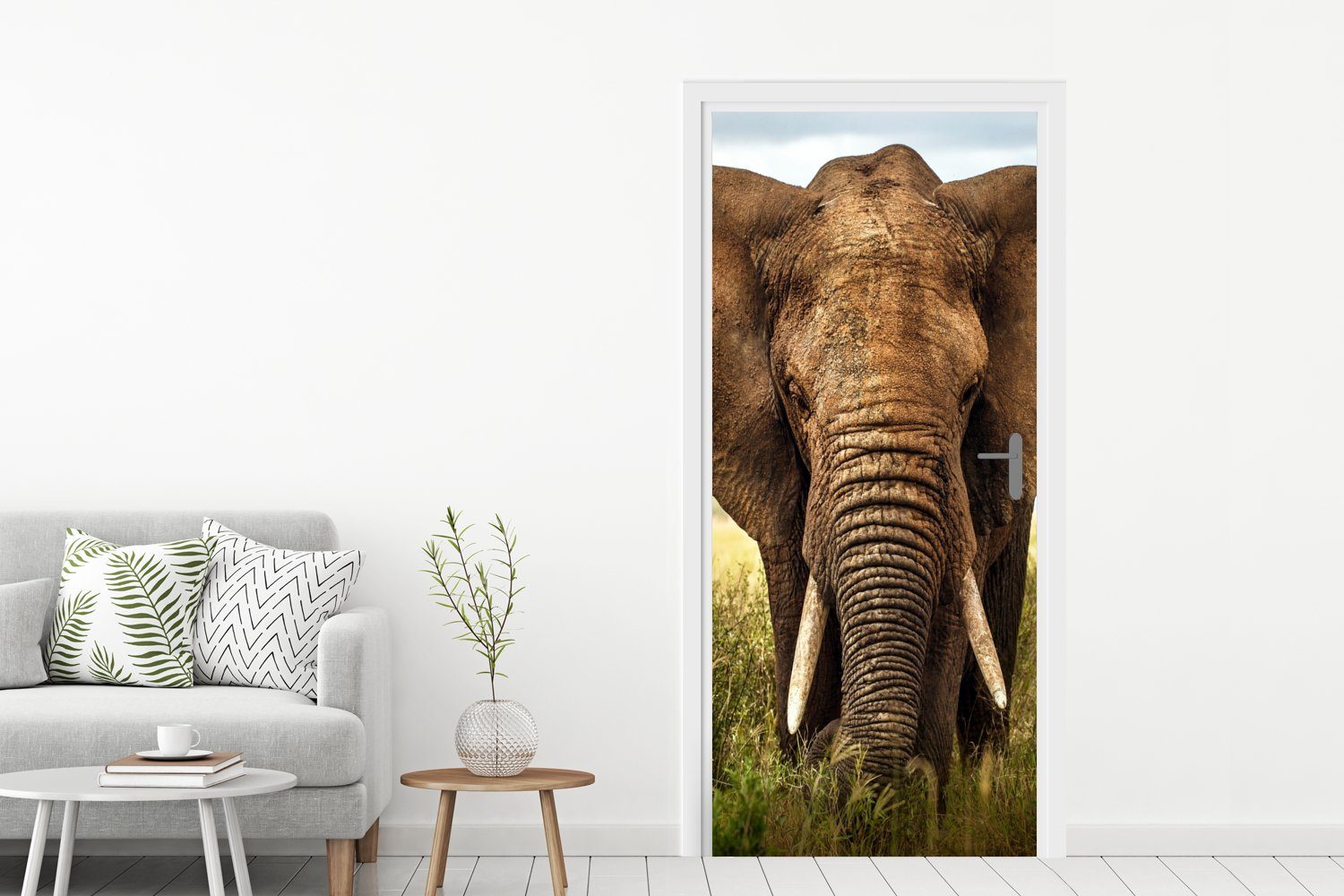 cm bedruckt, Elefant MuchoWow Türaufkleber, Fototapete für Tür, (1 75x205 St), Afrikanischer Türtapete Matt, Vorderansicht,