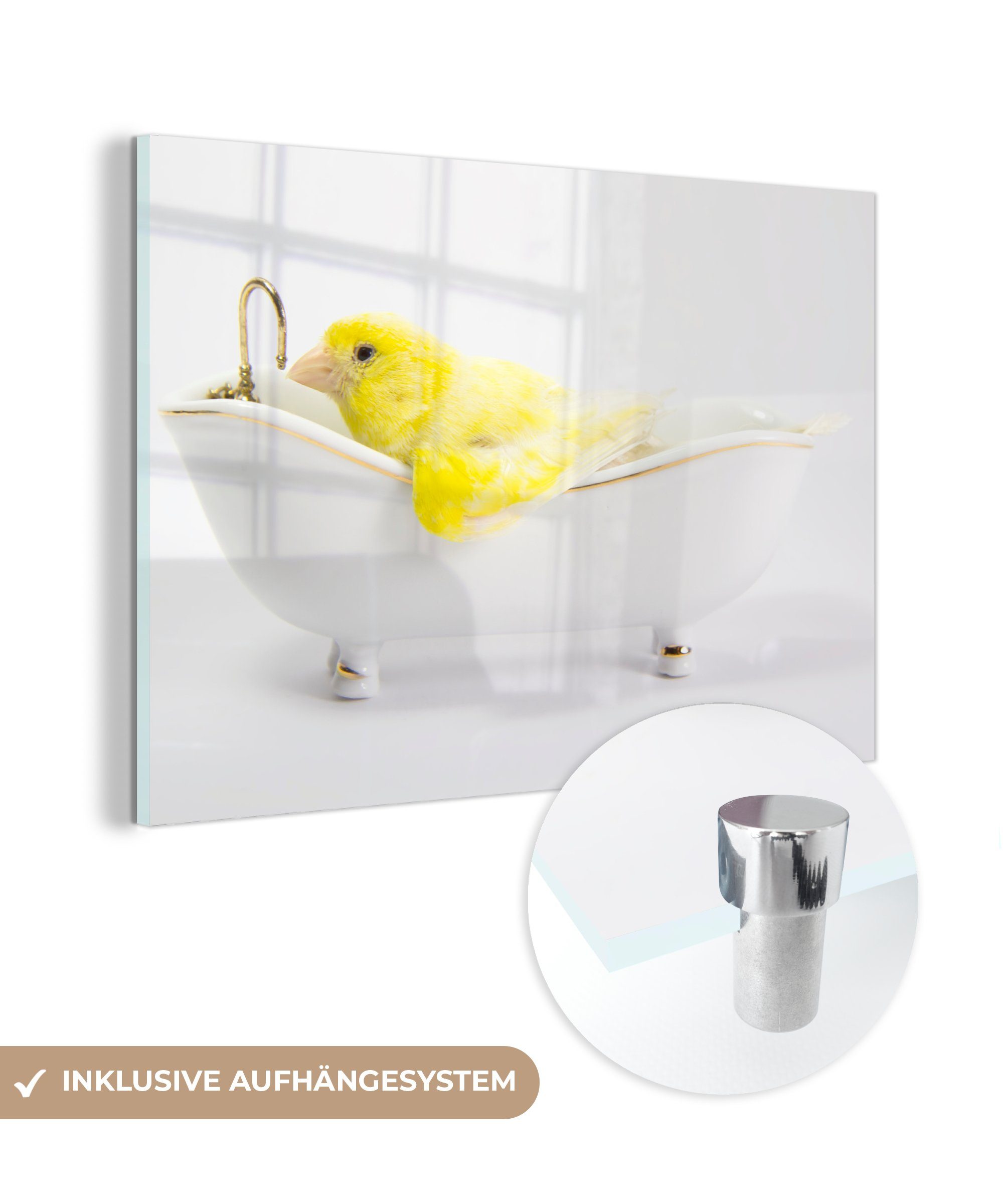 MuchoWow Acrylglasbild Gelber Kanarienvogel in einer weißen Badewanne, (1 St), Acrylglasbilder Wohnzimmer & Schlafzimmer