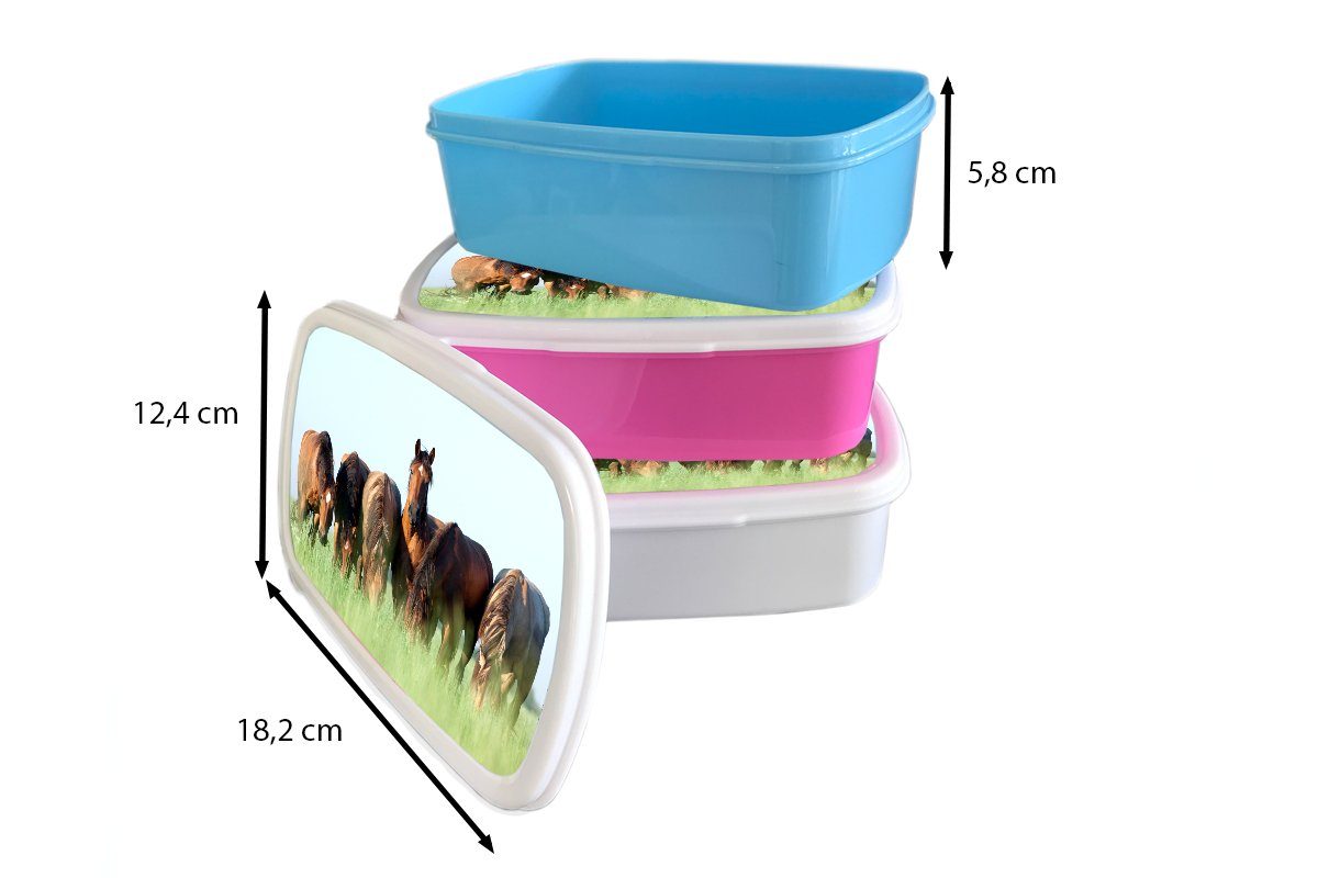 Tiere - Brotbox Erwachsene, Jungs Brotdose, (2-tlg), Kunststoff, - MuchoWow für für - Gras und Pferde weiß Mädchen Lunchbox Kinder Sommer, und
