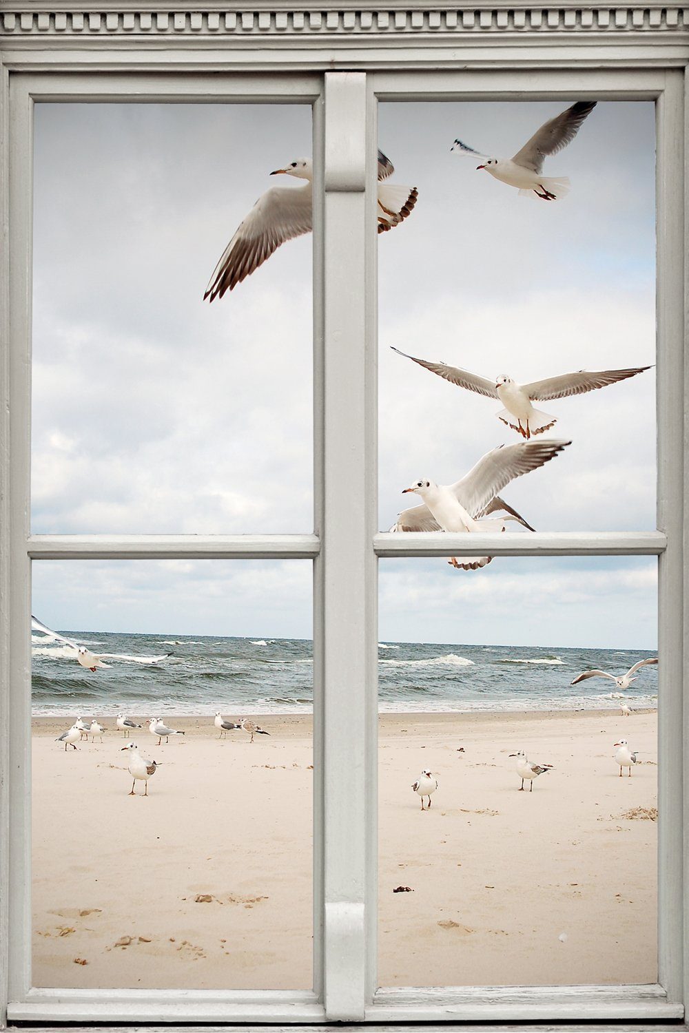 queence Leinwandbild Möwen, Fensterblick, Meer, Natur, Vögel (1 St), Premium-Leinwandstoff