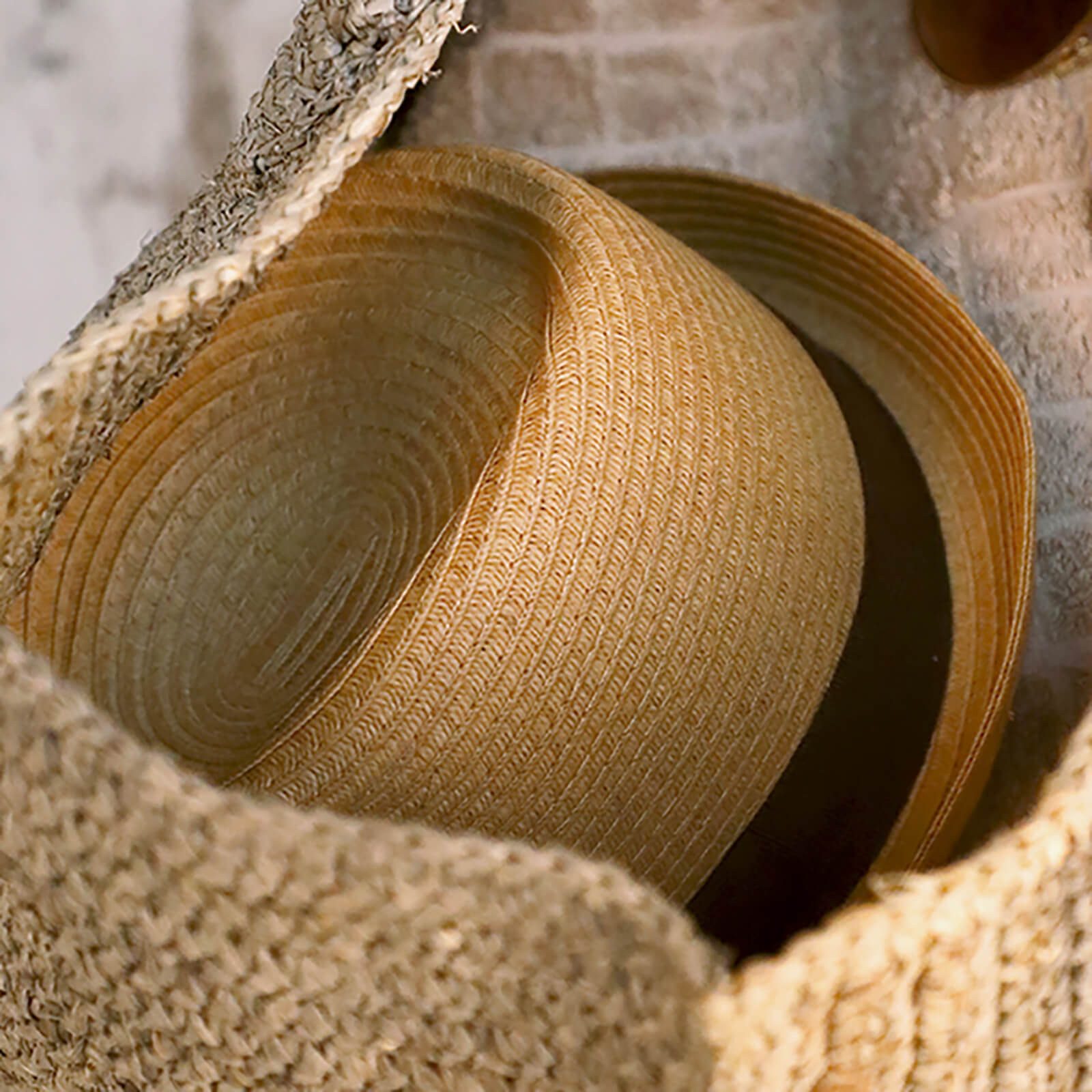 Fiebig Sonnenhut Papierhut Trilby uni mit gleichfarbigem Ripsband günstig online kaufen