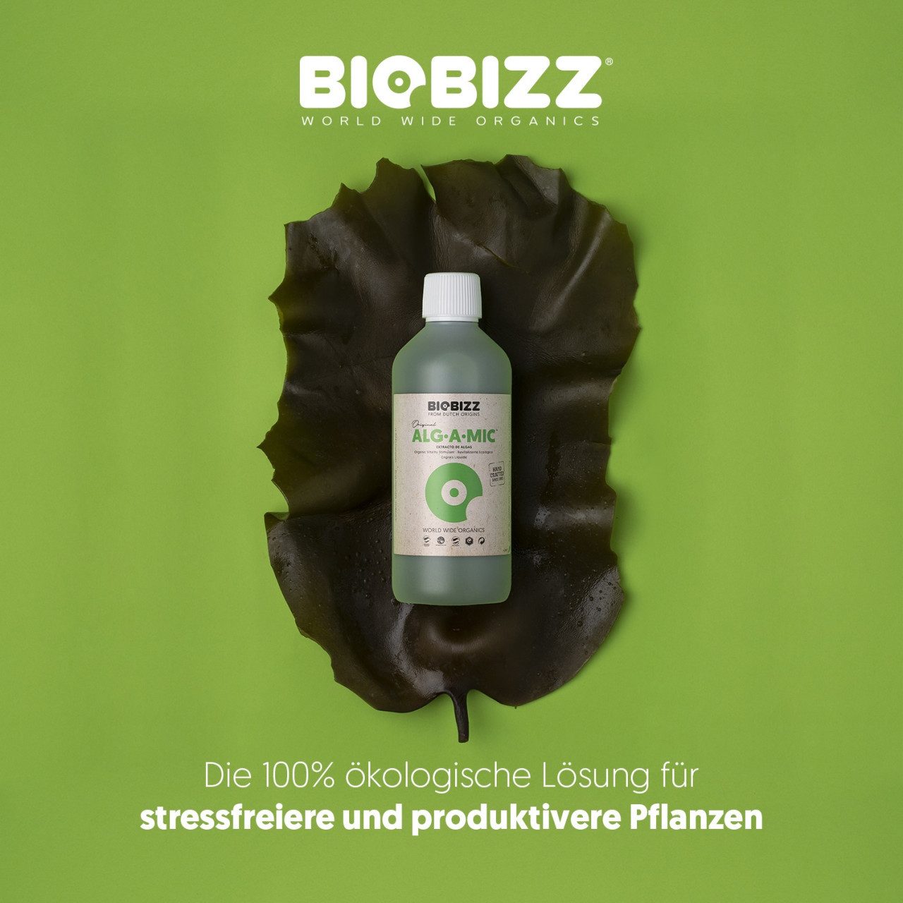 Biobizz Pflanzendünger BioBizz Alg-A-Mic 250 ml, Bio