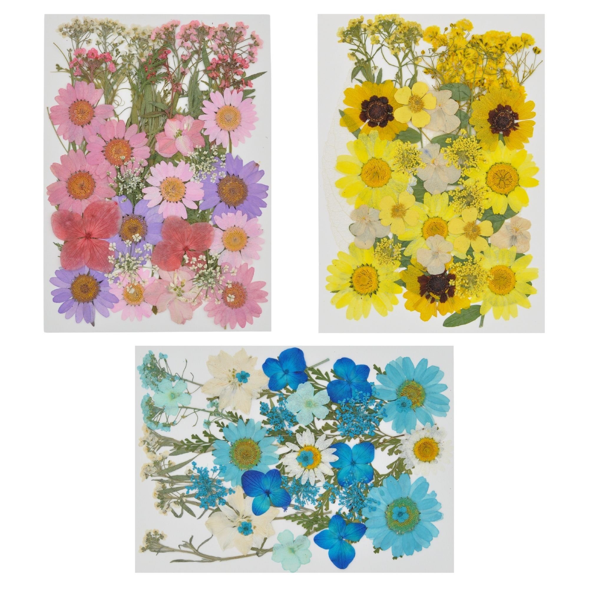 Trockenblumen Set Zum Basteln - 100 Natürliche Schleierkraut-Blüten Für DIY-Projekte