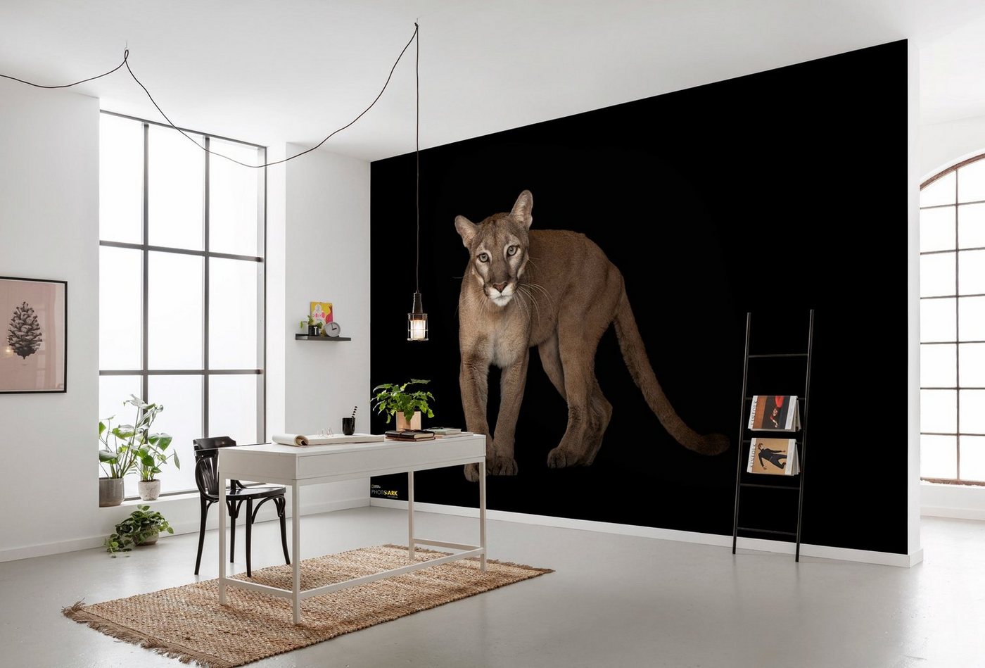 Komar Vliestapete »Florida Panther«, glatt, bedruckt, realistisch, (8 St), 400 x 280 cm (Breite x Höhe) - 8 Bahnen-HomeTrends