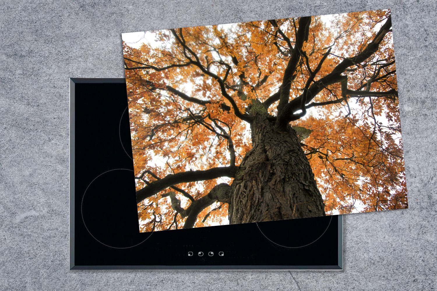 MuchoWow Herdblende-/Abdeckplatte (1 im cm, Amerikanische Herbst, tlg), Kastanie Arbeitsfläche Ceranfeldabdeckung Mobile Vinyl, nutzbar, 70x52