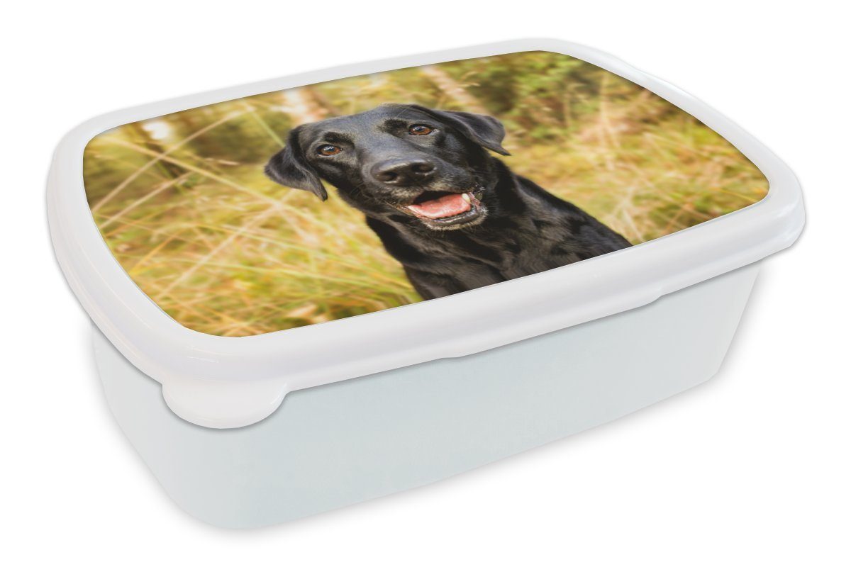 MuchoWow Lunchbox Glücklicher schwarzer weiß Hund, Brotbox Mädchen Brotdose, und und Kunststoff, Jungs Kinder für für Erwachsene, (2-tlg)