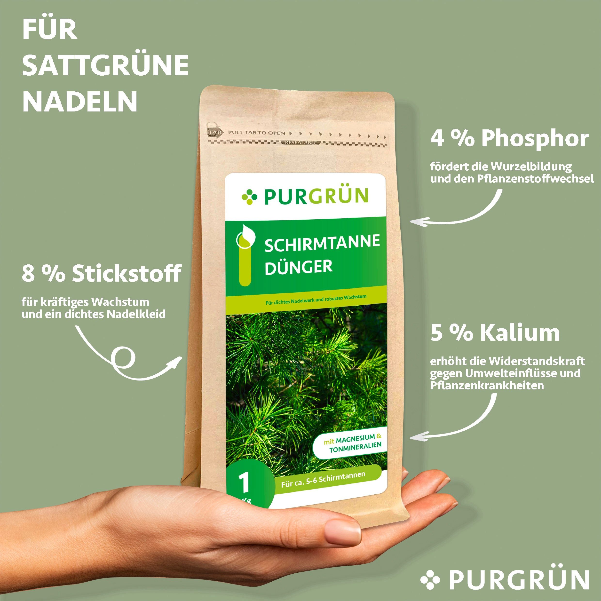 Purgrün Gartendünger Purgrün Schirmtanne Dünger, NPK günstig online kaufen