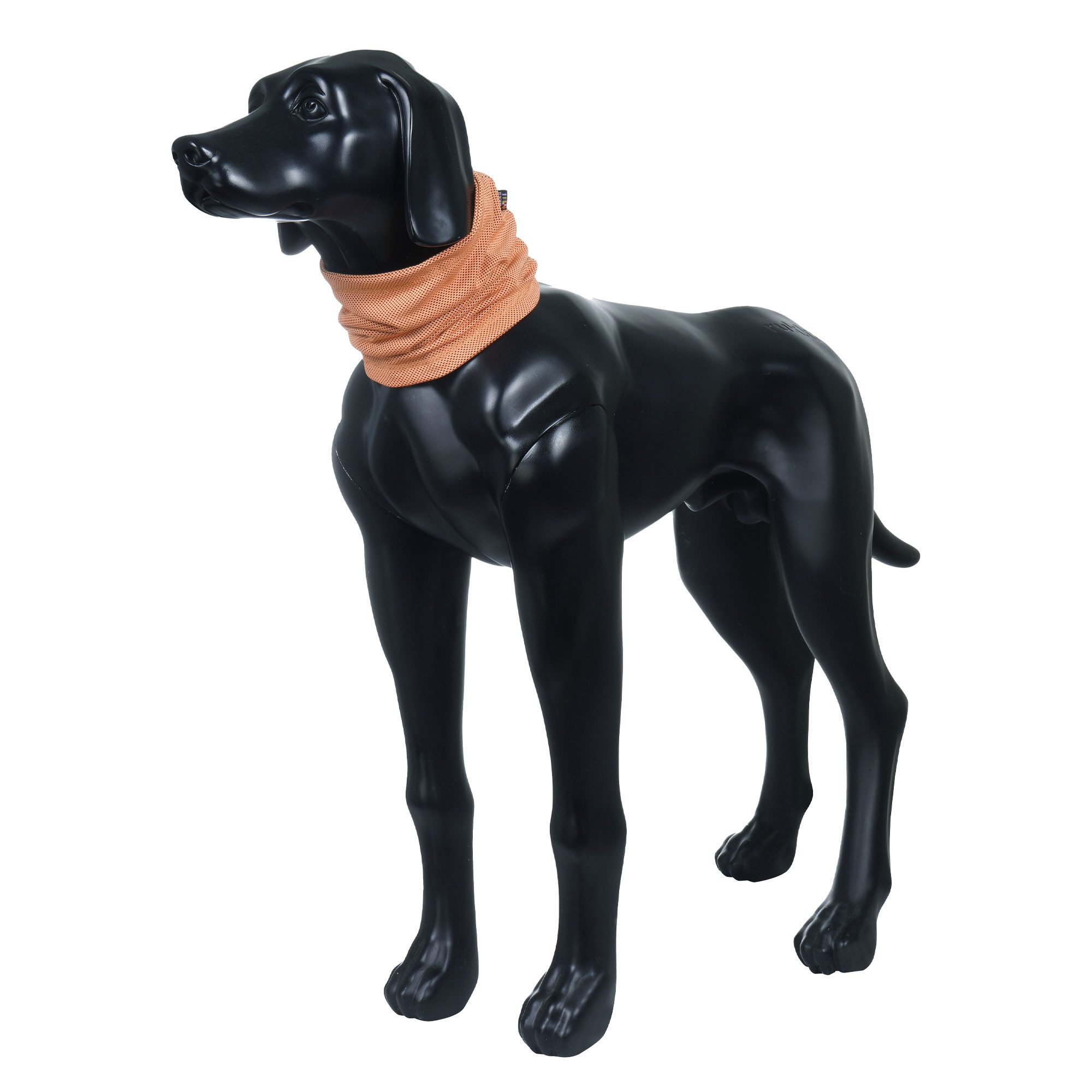 Rukka®Pets Tier-Halstuch Cooling Hunde Halstuch - eine sanfte Abkühlung, Polyester, in versch. Größen