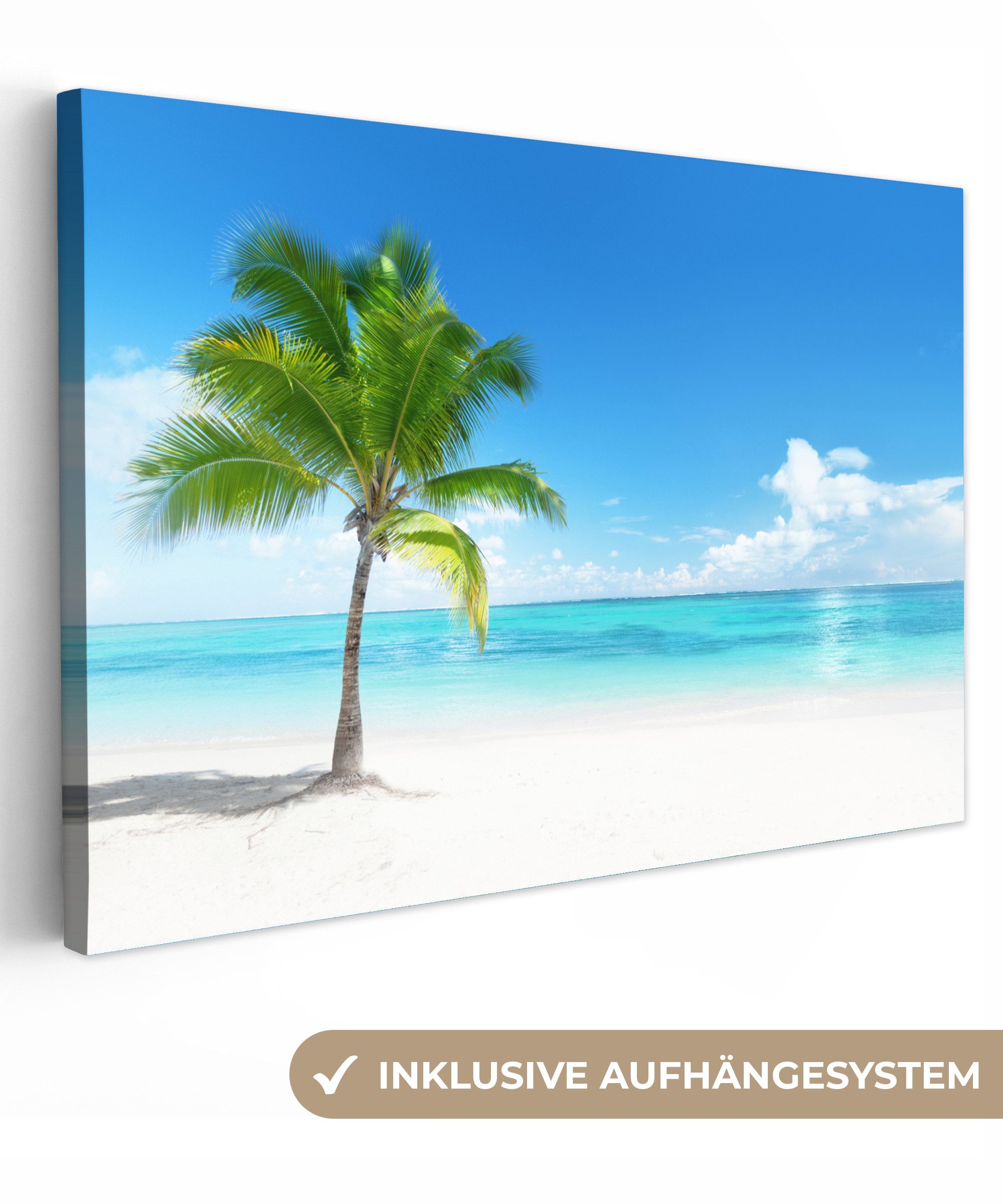 OneMillionCanvasses® Leinwandbild Palme - Strand - günstig online kaufen