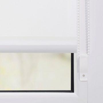 Seitenzugrollo Klemmfix Motiv Birkenwald, LICHTBLICK ORIGINAL, Lichtschutz, ohne Bohren, freihängend, Klemmfix, bedruckt