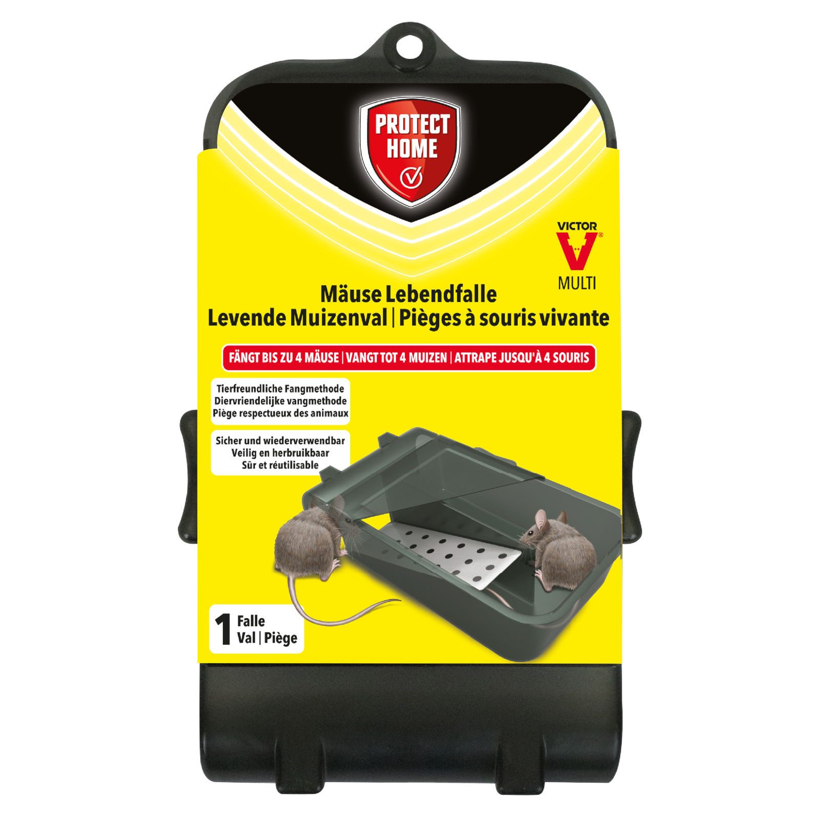 Protect Home Lebendfalle Mäuse Lebendfalle Multi 1 Stück