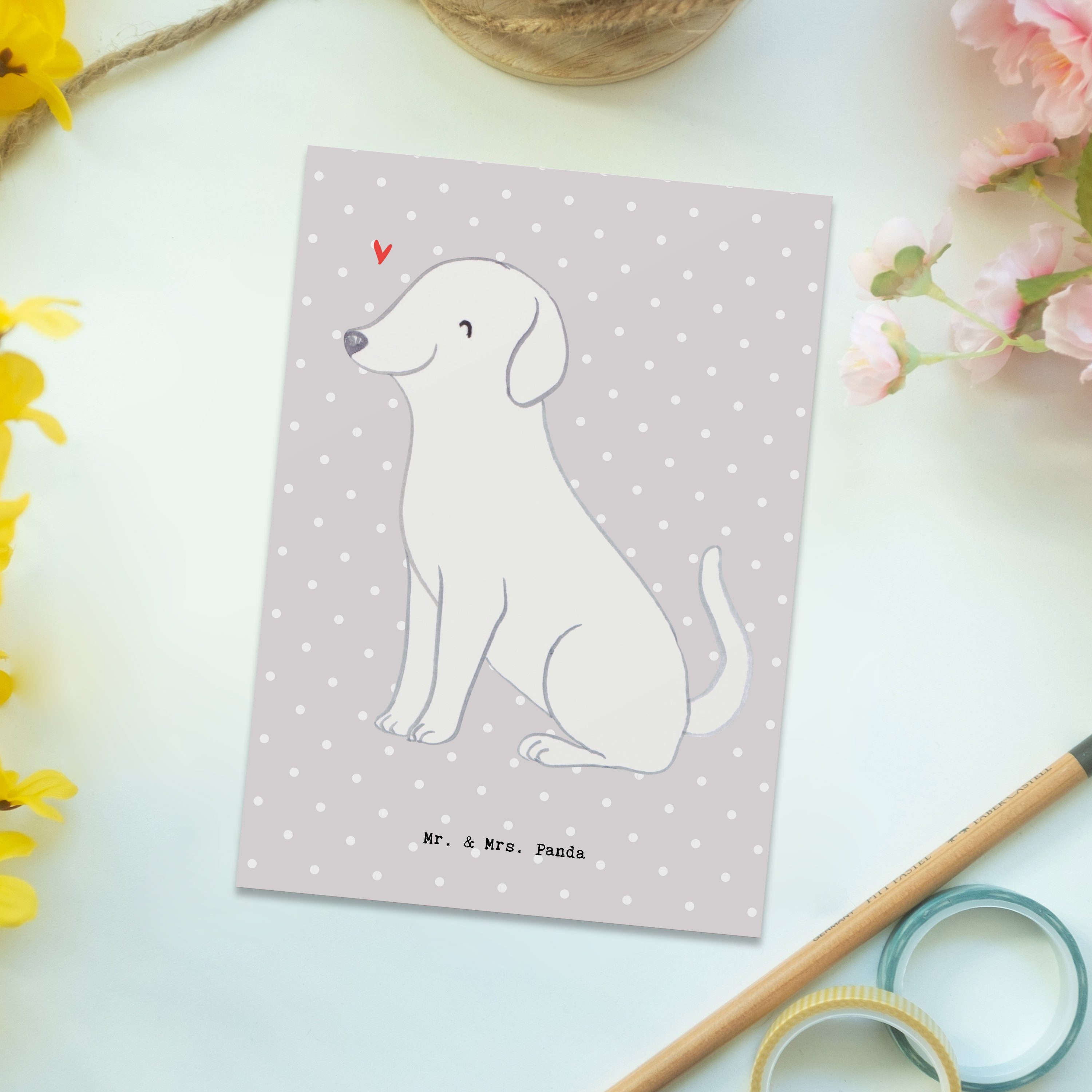 Mr. & - Moment Geschenk, Pastell Mrs. Einladung, Hund - Grußkarte, Grau Panda Postkarte Labrador