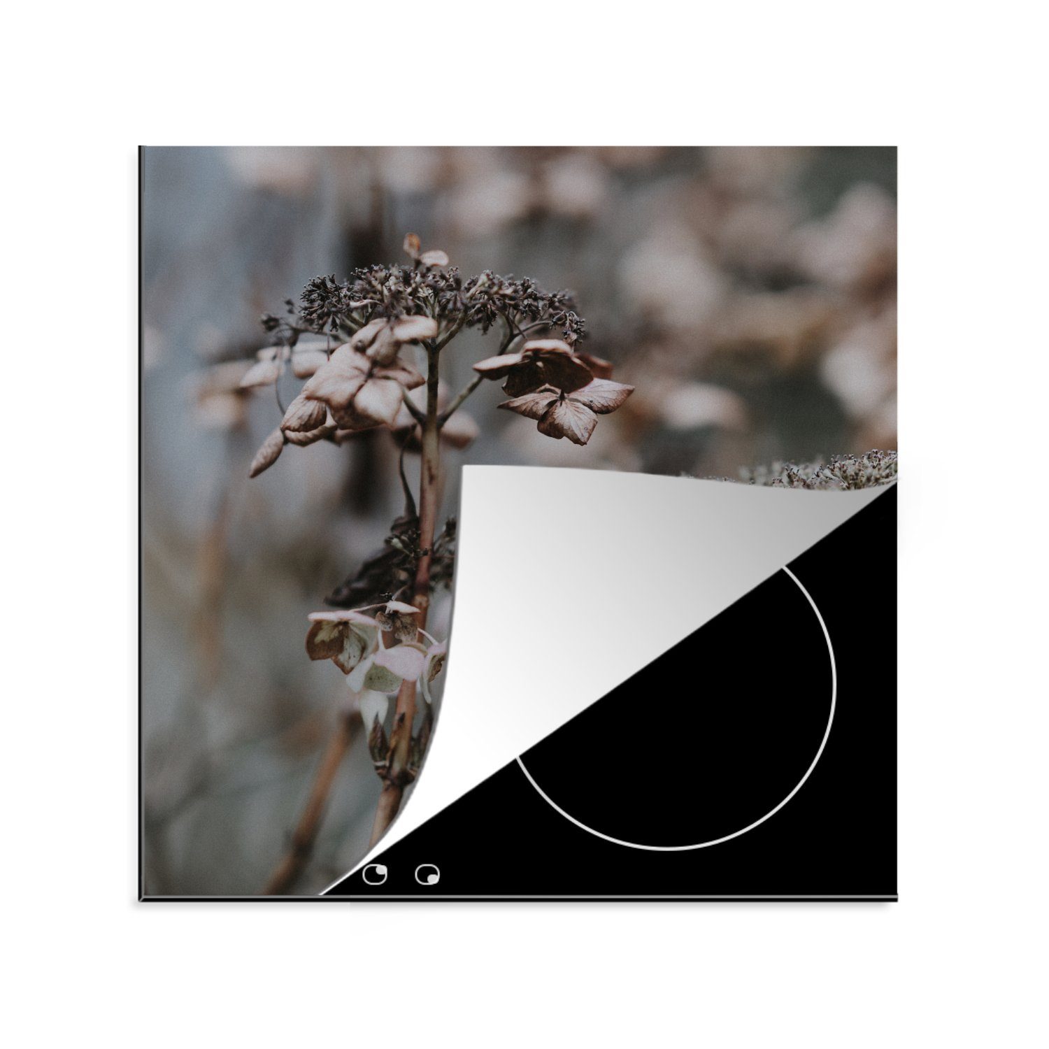 MuchoWow Herdblende-/Abdeckplatte Blumen - Eiscreme - Winter, Vinyl, (1 tlg), 78x78 cm, Ceranfeldabdeckung, Arbeitsplatte für küche
