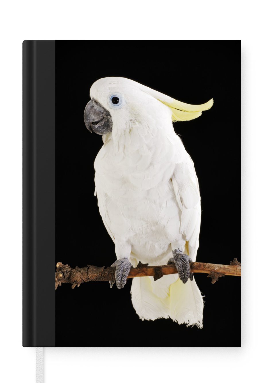 MuchoWow Notizbuch Weißer Kakadu auf schwarzem Hintergrund, Journal, Merkzettel, Tagebuch, Notizheft, A5, 98 Seiten, Haushaltsbuch