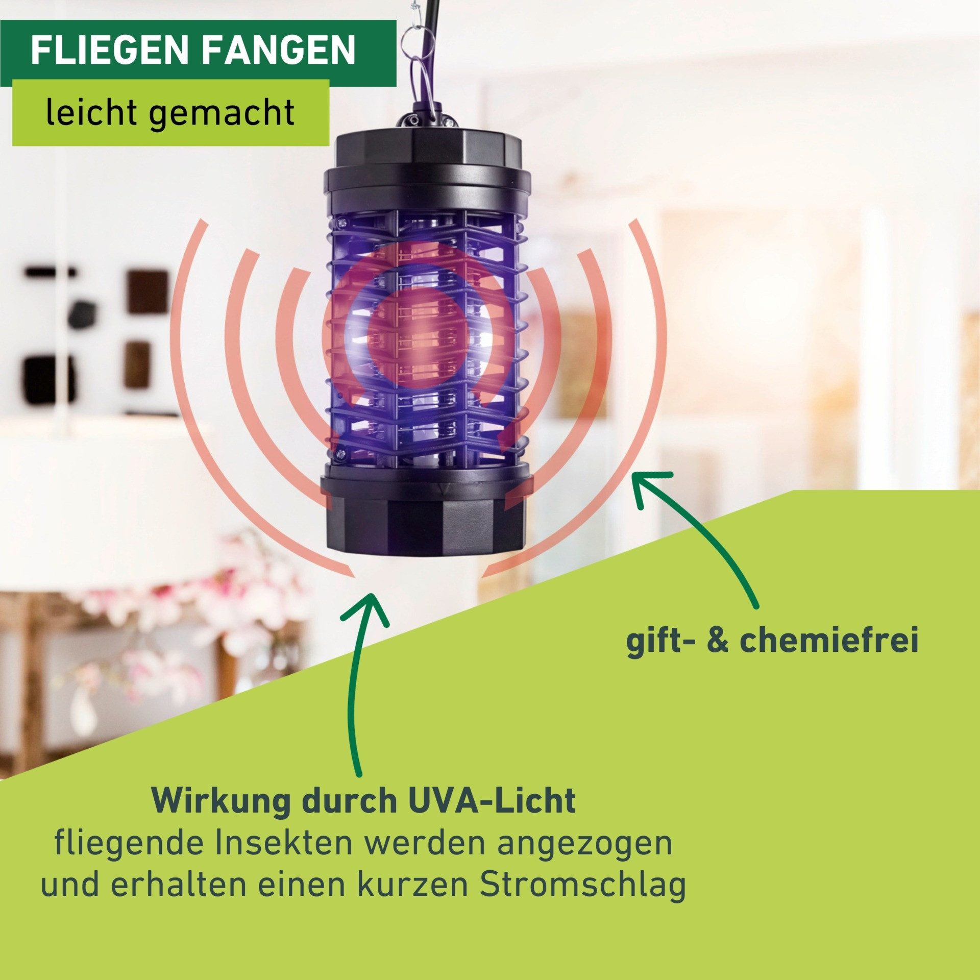Windhager Insektenfalle für Fluginsekten, Schutzlampe für den Fang von Insekten, vollisoliertes Kunststoffgehäuse, UV-Lampe mit 4 Watt
