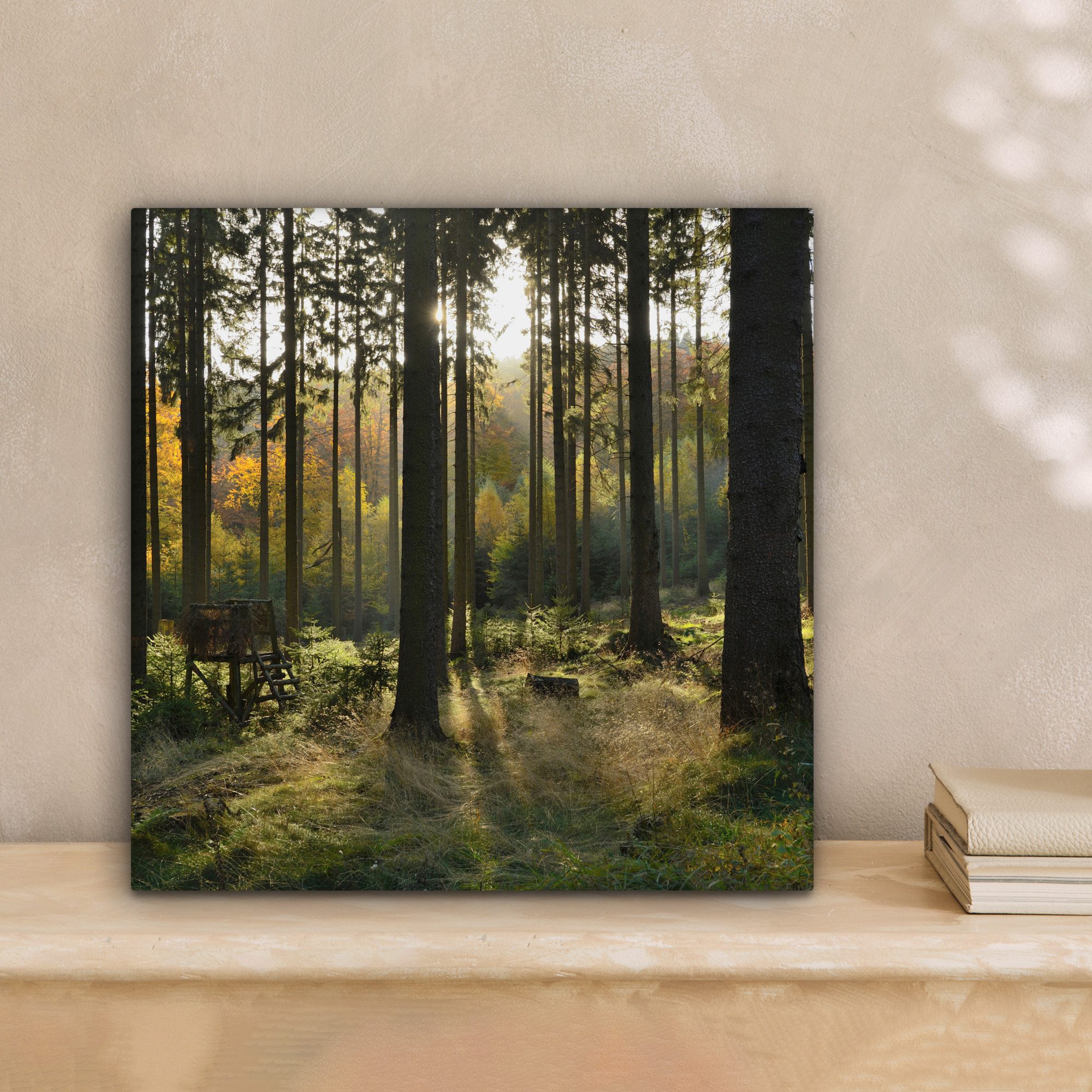 OneMillionCanvasses® Leinwandbild Wald - Sommer - Sonne, Fotodruck (1 St), Wandbild, Deko Schlafzimmer Wohnzimmer Flur 20x20 cm – Bild 2 von 5