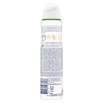 DOVE Deo-Set Deodorant Spray Gurkenduft Deo mit pflegendem Zink-Komplex 6x 150ml