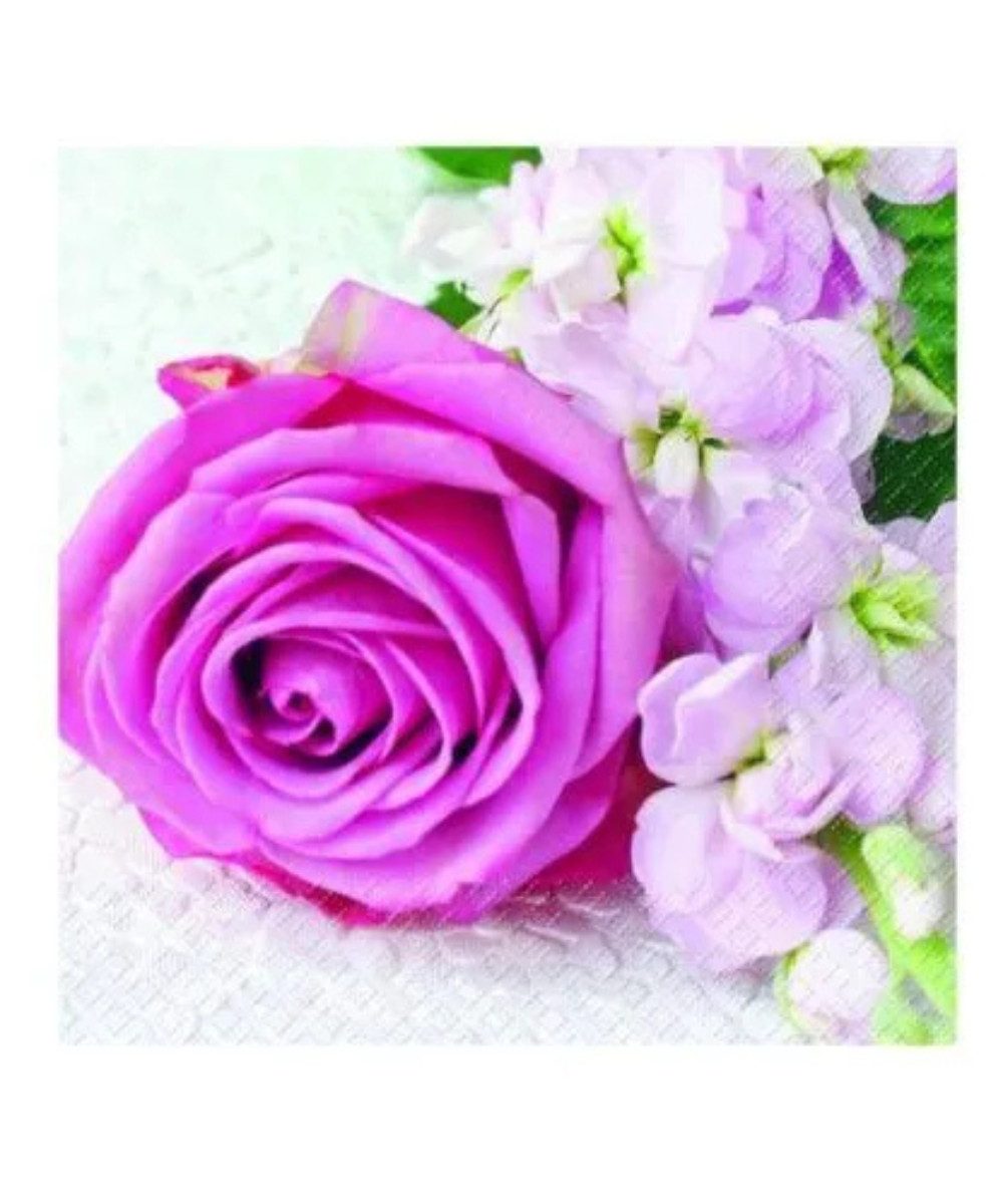 stewo Stoffserviette Servietten 20 Stück Vanessa pink (33x33cm), (packung, 20 St., Servietten), (geeignet auch für den Valentine´s Tag)