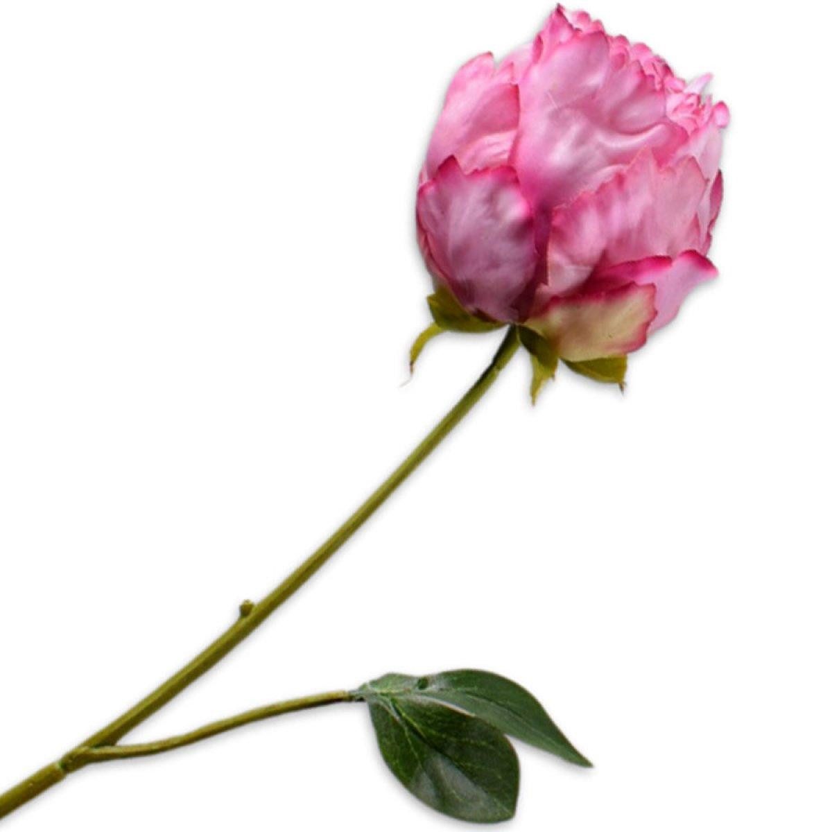 Künstliche Zimmerpflanze Seidenblume Pfingstrose Knospe Rosa Pinker Rand (58cm), SILK-KA
