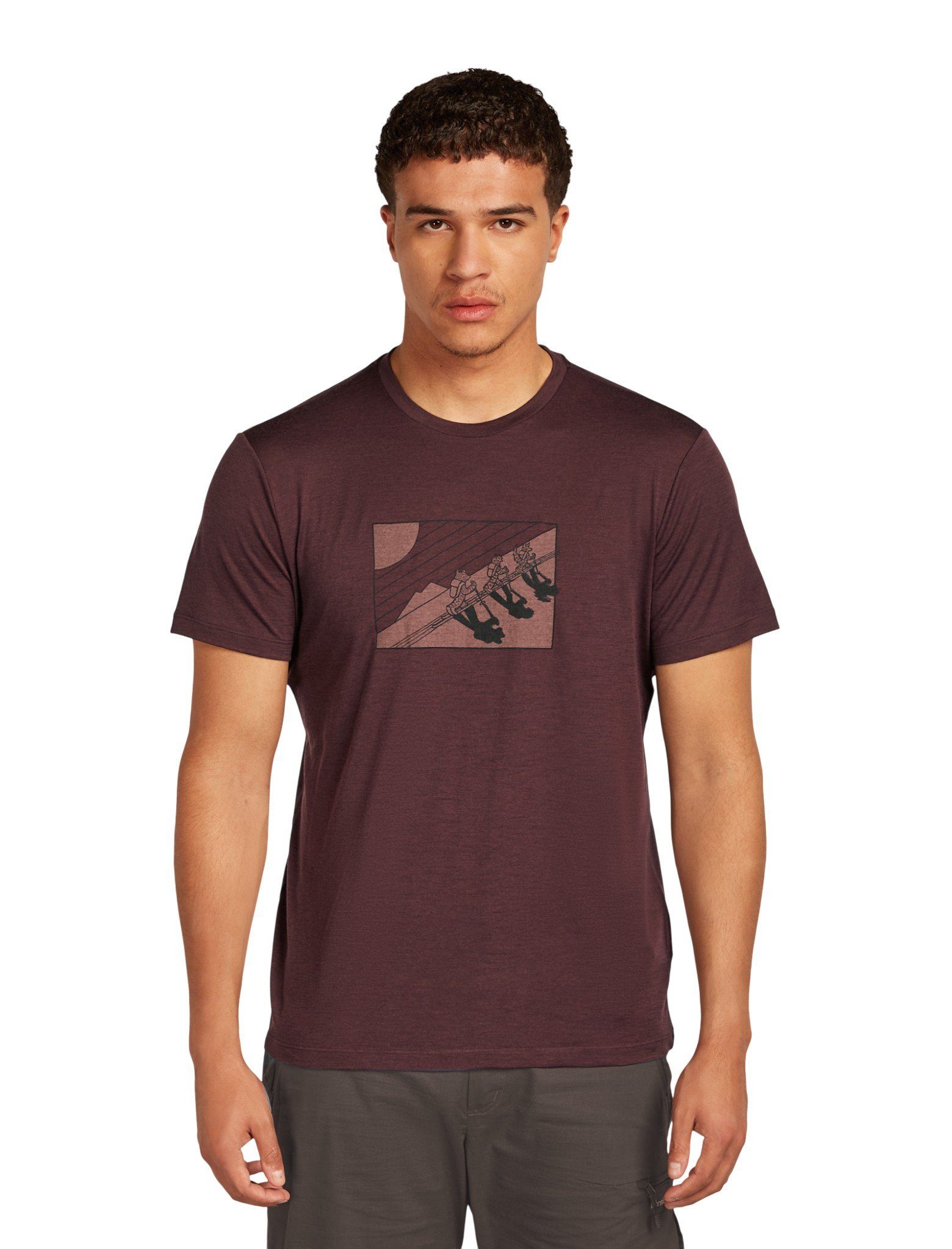 Icebreaker T-Shirt Merino 150 Tech Lite Tee In The Wild (Merinowolle) 2025 javabraun