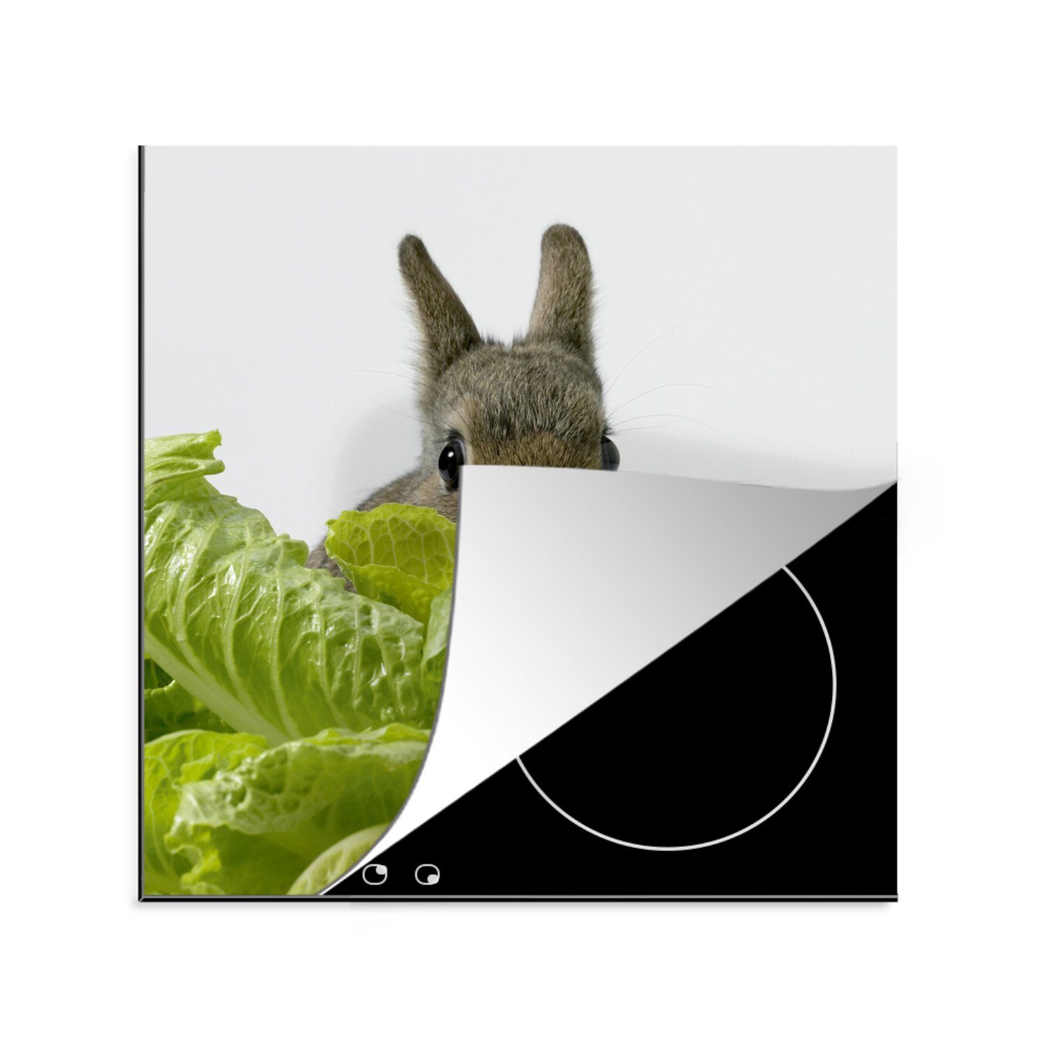 MuchoWow Herdblende-/Abdeckplatte Kaninchen - küche - Baby 78x78 für Ceranfeldabdeckung, cm, tlg), Kopfsalat, Arbeitsplatte Vinyl, (1