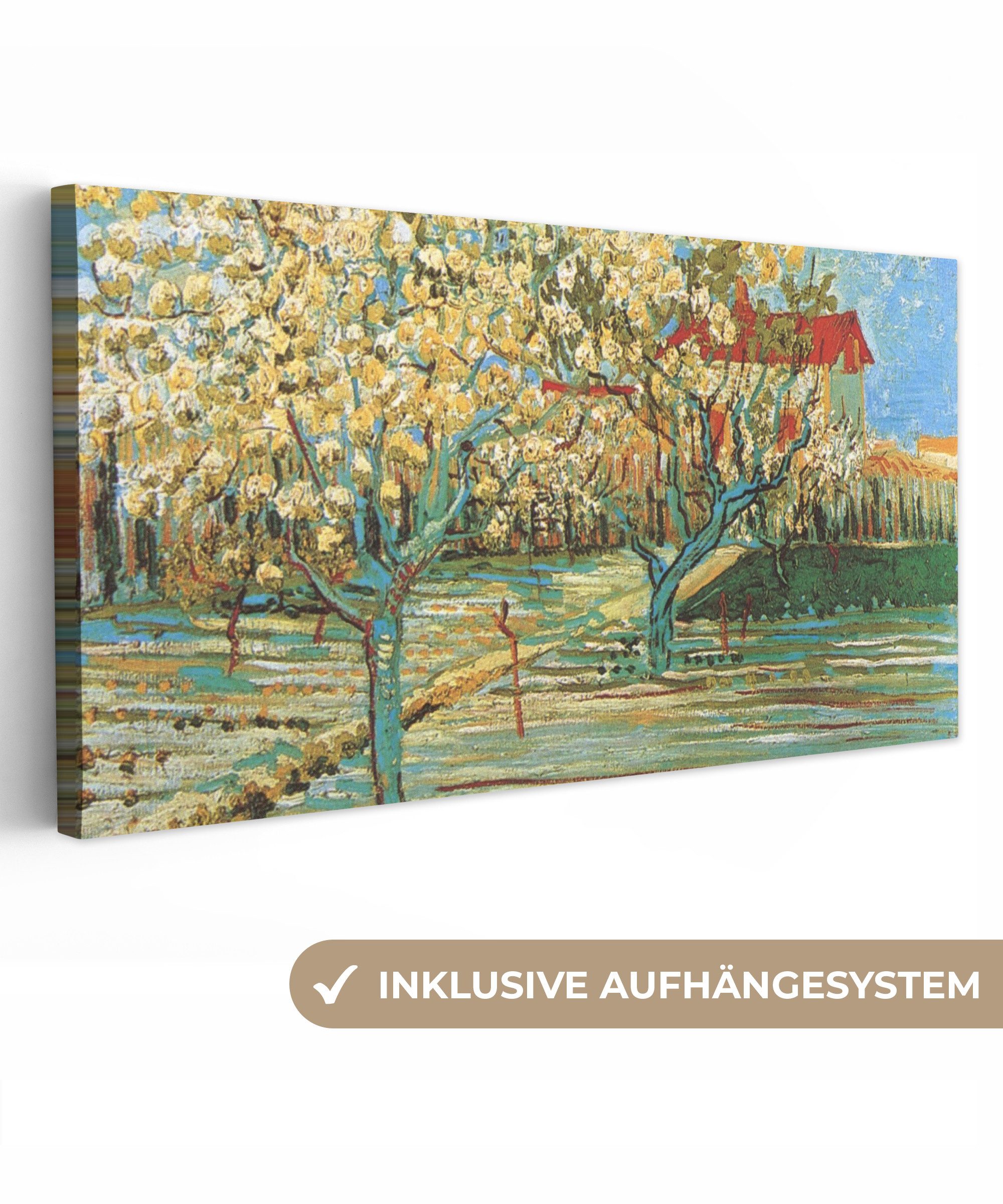 OneMillionCanvasses® Leinwandbild Panorama Blühender Obstgarten - günstig online kaufen