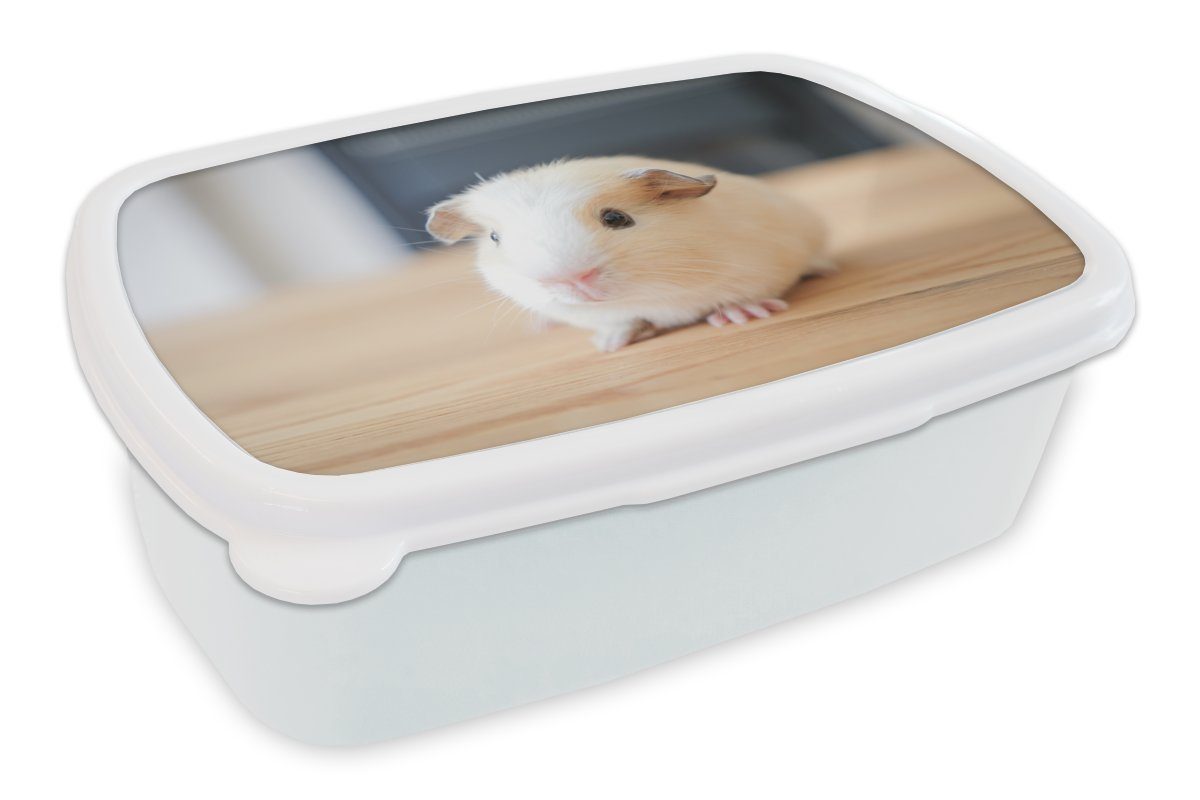 MuchoWow Lunchbox Niedliches Baby-Meerschweinchen, Kunststoff, (2-tlg), Brotbox für Kinder und Erwachsene, Brotdose, für Jungs und Mädchen weiß