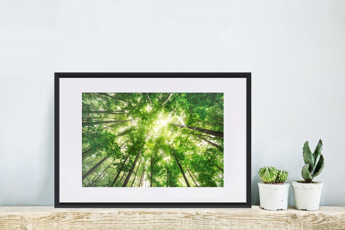 MuchoWow Poster Wald - Sonne St), mit Baum, Gerahmtes Poster, - Rahmen, Kunstdruck, (1 Bilderrahmen Schwarzem