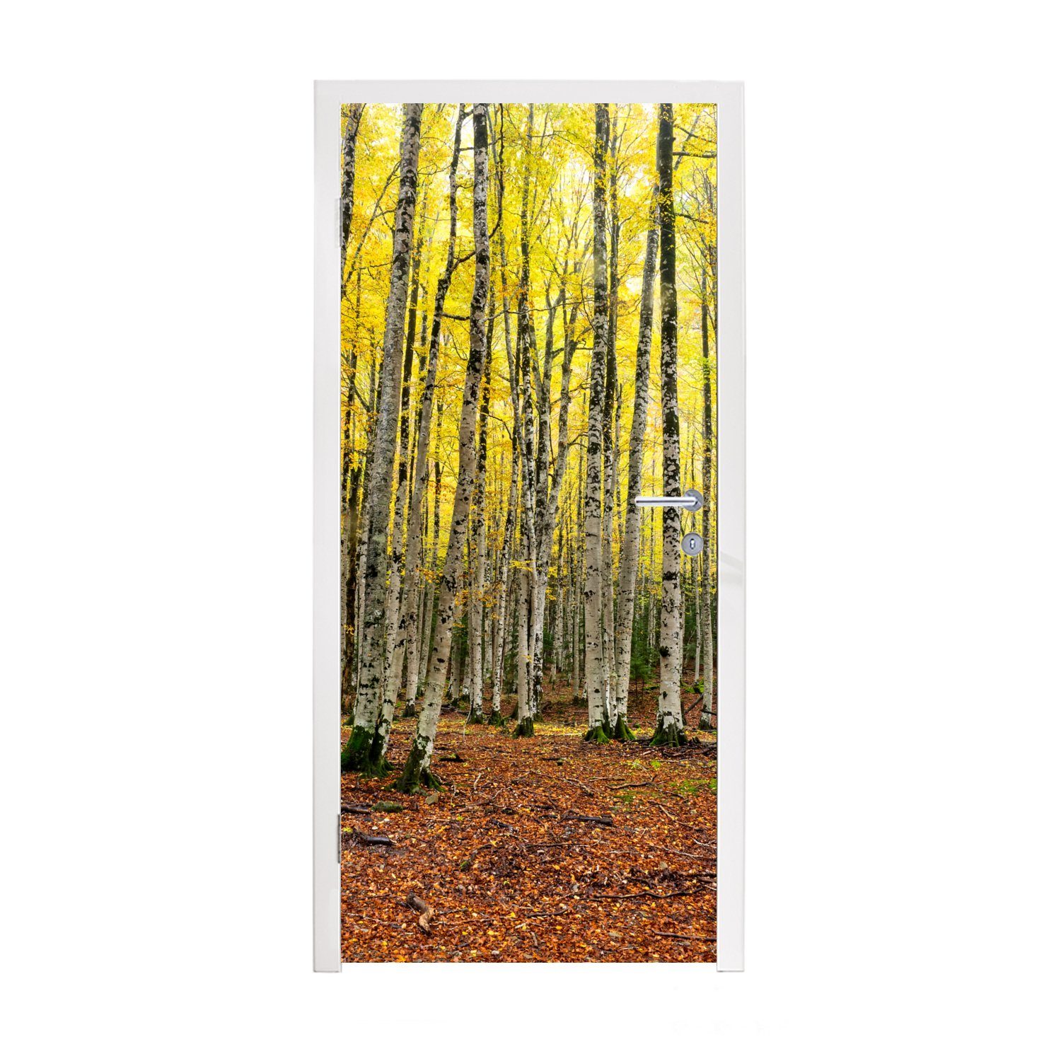 Bäume (1 Türaufkleber, St), MuchoWow Fototapete - Wald 75x205 Türtapete für Tür, - Matt, bedruckt, Gelb, cm
