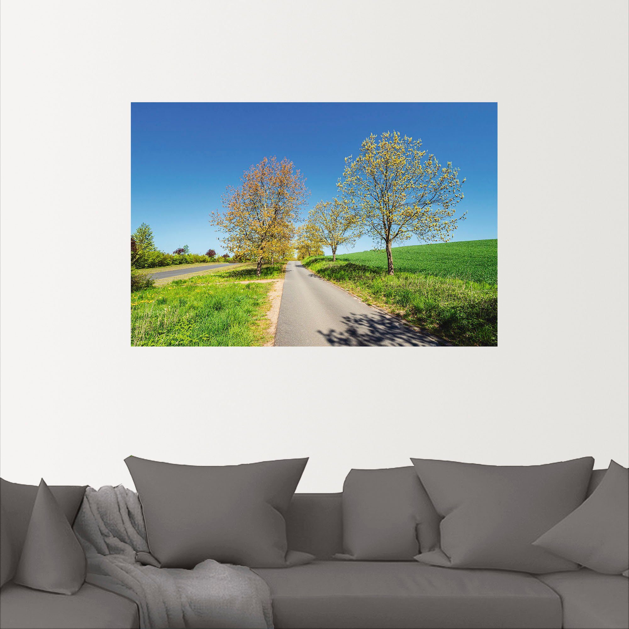 Artland Wandbild »Straße und Bäume bei Kuchelmiß«, Wiesen & Baumbilder (1 Stück), in vielen Größen & Produktarten - Alubild / Outdoorbild für den Außenbereich, Leinwandbild, Poster, Wandaufkleber / Wandtattoo auch für Badezimmer geeignet-kaufen