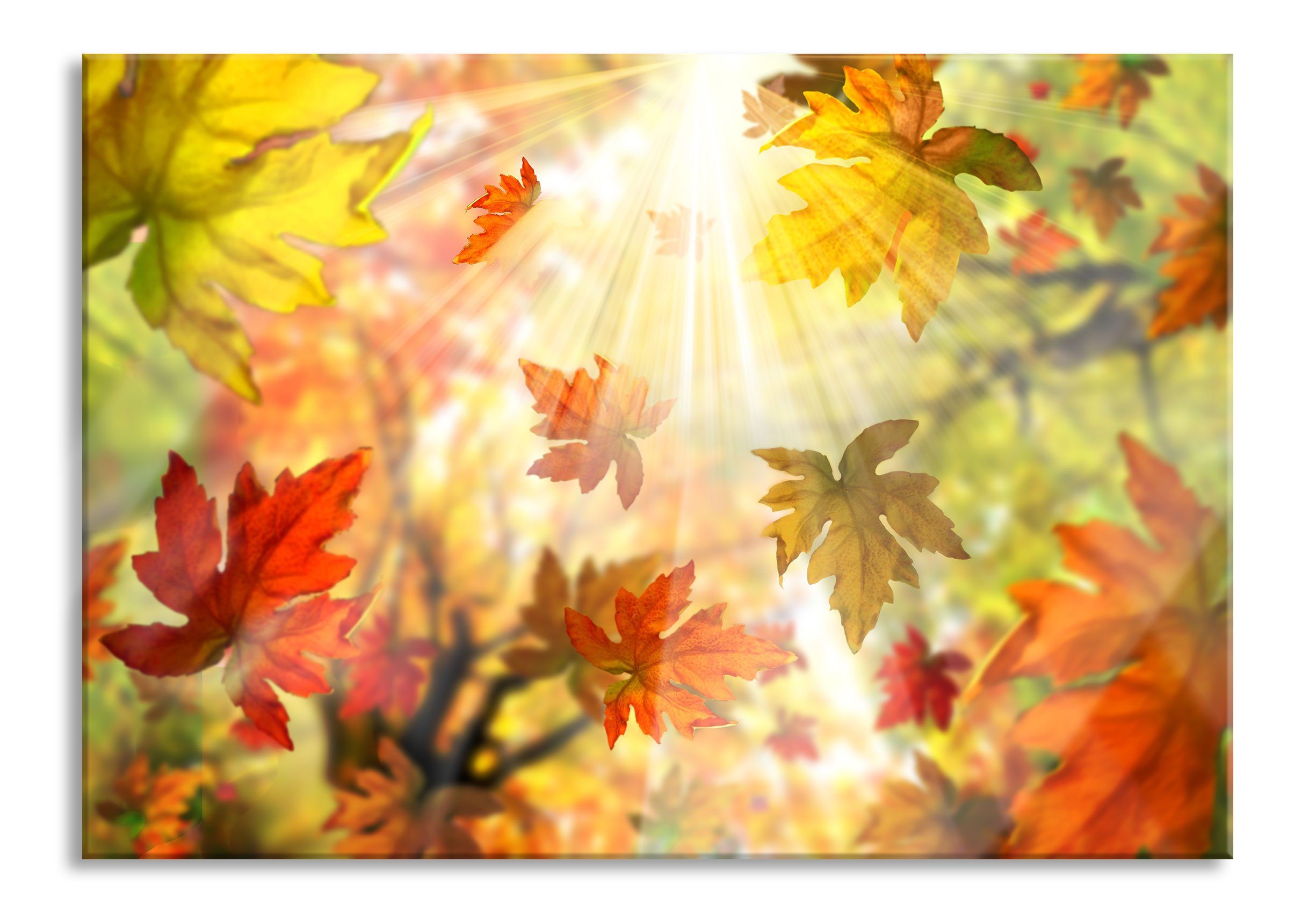 Pixxprint Glasbild Fliegende bunte Herbstblätter, Fliegende bunte Herbstblätter (1 St), Glasbild aus Echtglas, inkl. Aufhängungen und Abstandshalter
