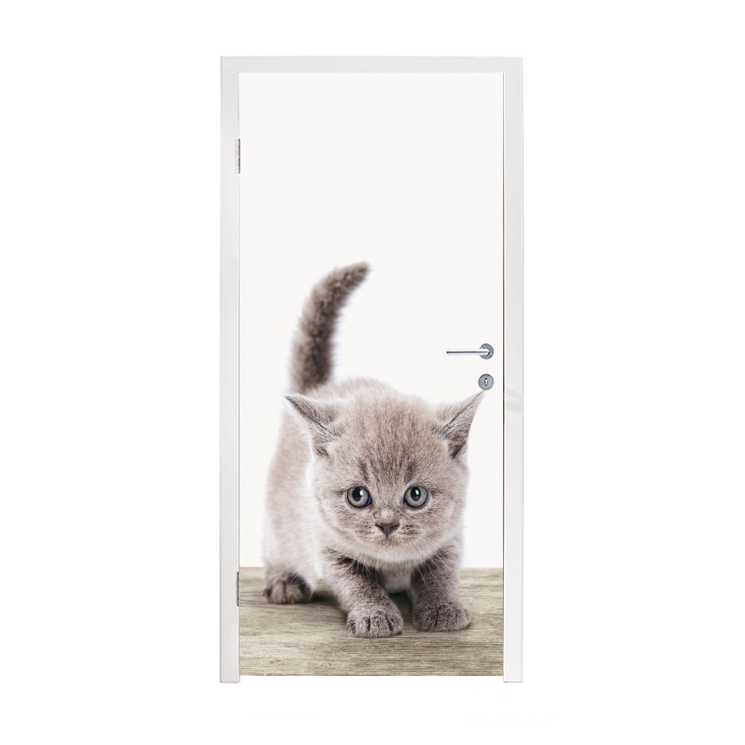 MuchoWow St), - Haustiere Tür, für Türtapete (1 - Kätzchen Jungen - cm - Kinder Katze - 75x205 Türaufkleber, Fototapete Matt, Mädchen, bedruckt,