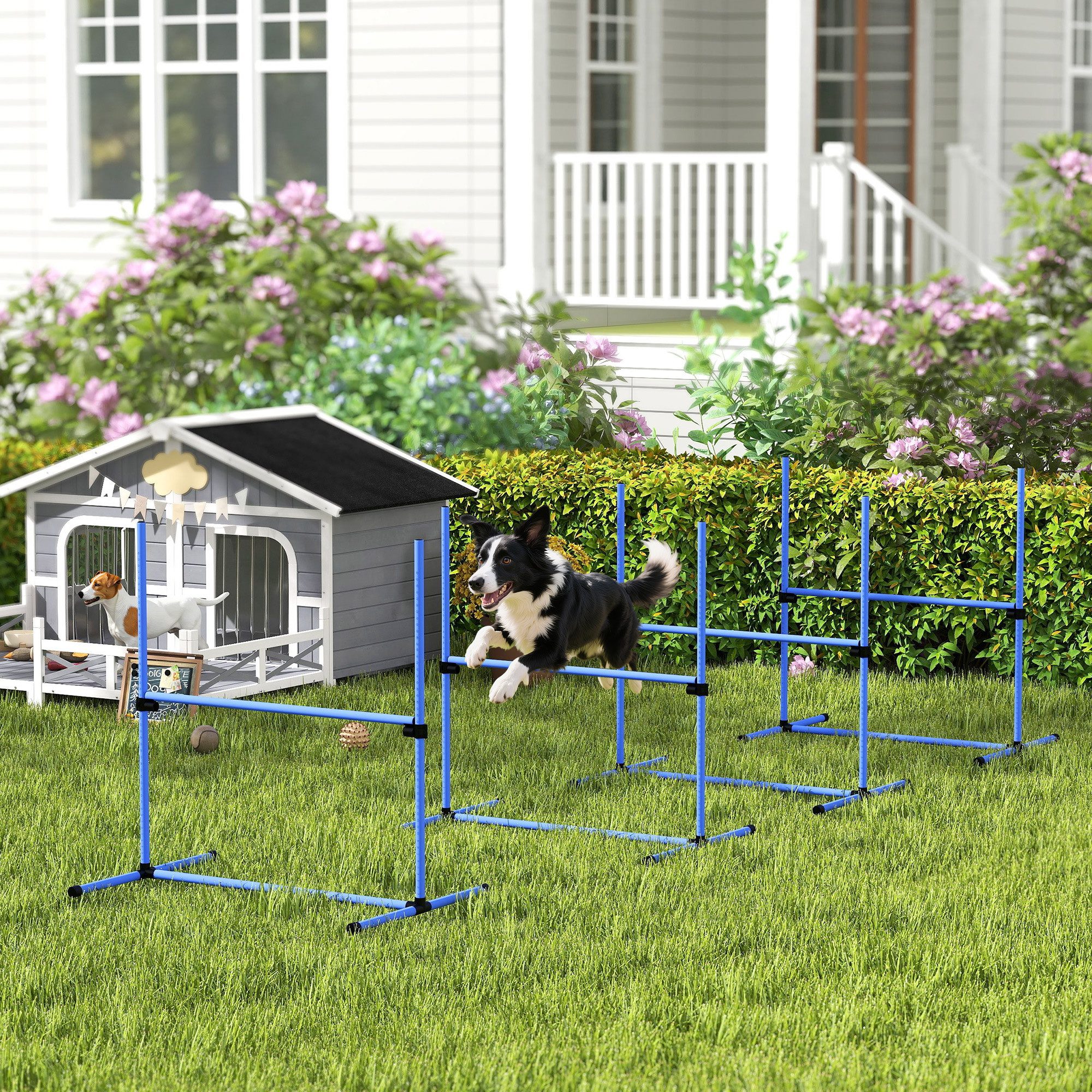 PawHut Agility-Hürde Inkl. Tragetasche für einfache Aufbewahrung, Kunststoff, Hunde Hürden-Set (4-tlg) für Hunde, Blau