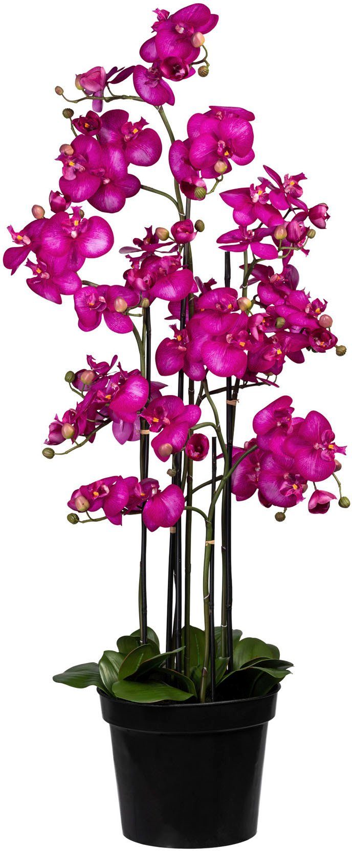 Kunstorchidee »Phalaenopsis« Orchidee Phalaenopsis, Creativ green, Höhe 130 cm-Otto