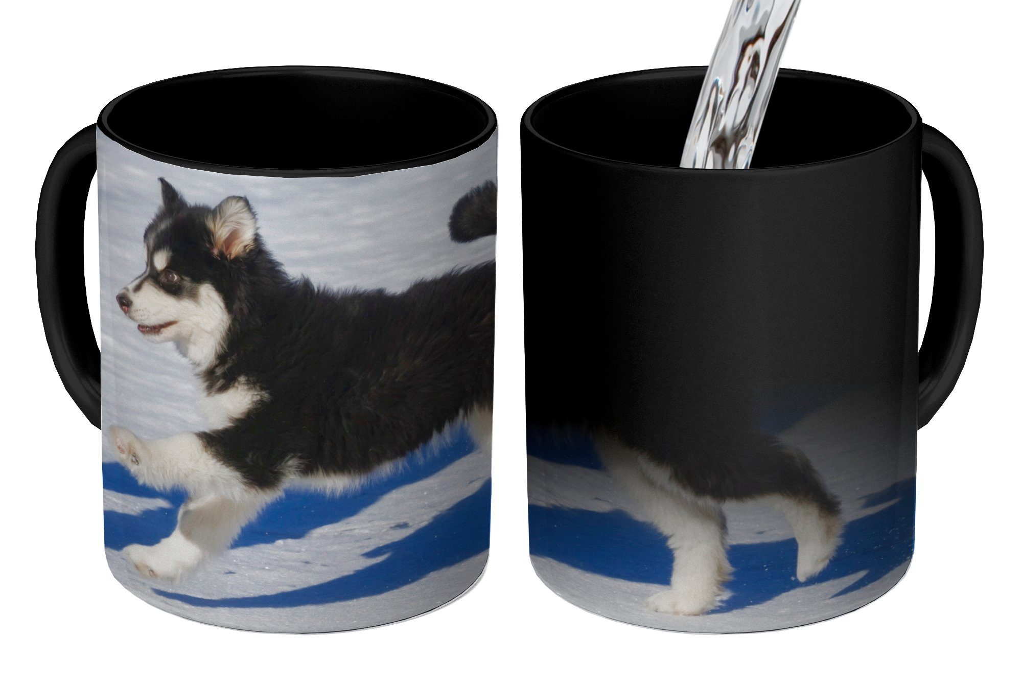 Husky-Welpe Geschenk Keramik, über läuft Teetasse, Tasse MuchoWow Farbwechsel, Zaubertasse, Schnee, den Kaffeetassen,