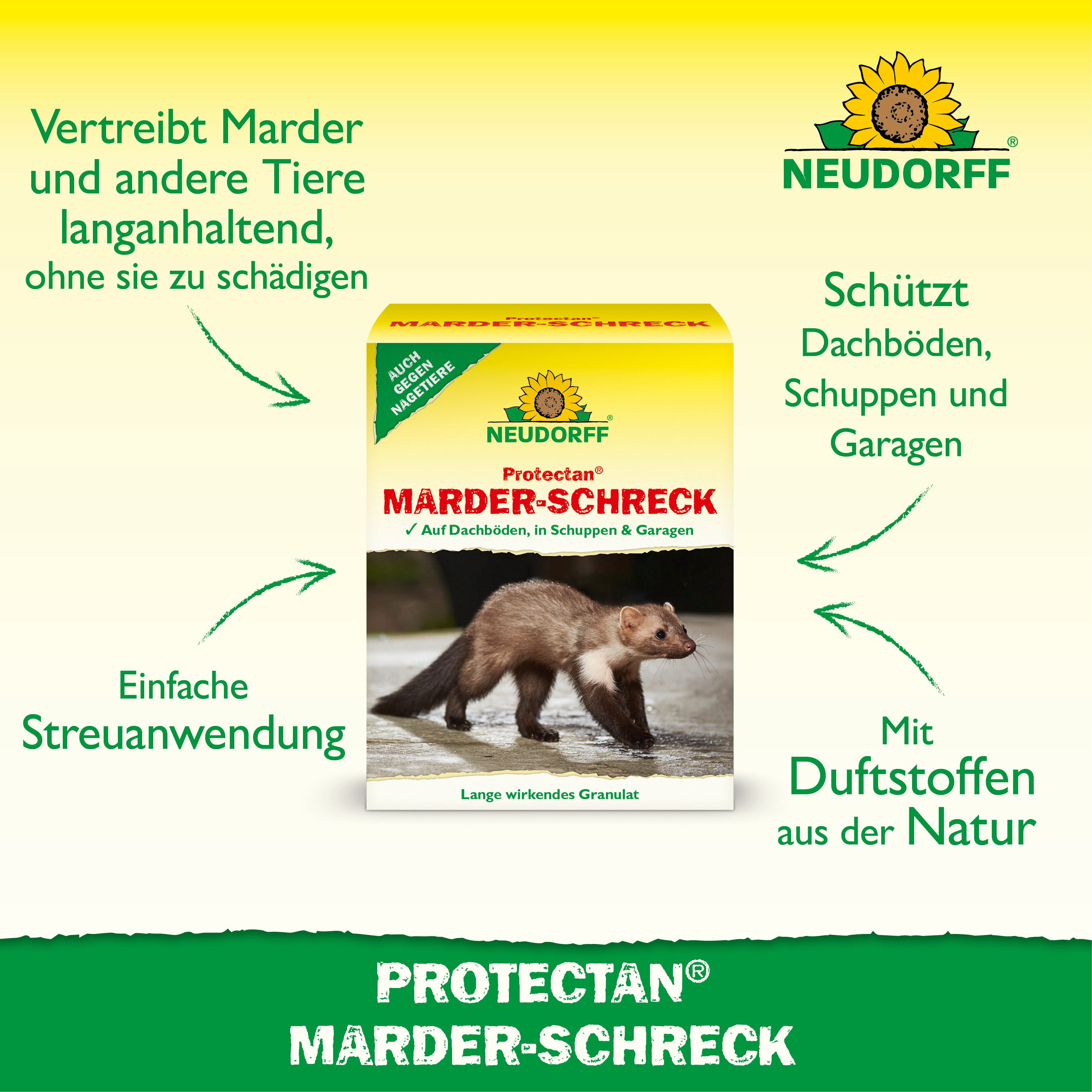 Neudorff Tierfallen-Köder Neudorff Protectan Marder-Schreck 200 g, 200 g, 1 Stück, Geruchsbasiertes Fernhaltegranulat für Marder, 200 g für ca. 13 laufende Mete – Bild 2 von 5
