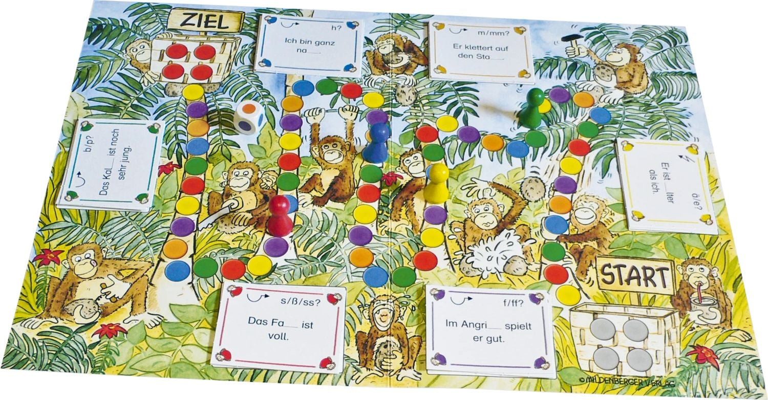 Wer knackt die Nuss? Karteikarten, Würfelspiel / Rainer Iwansky