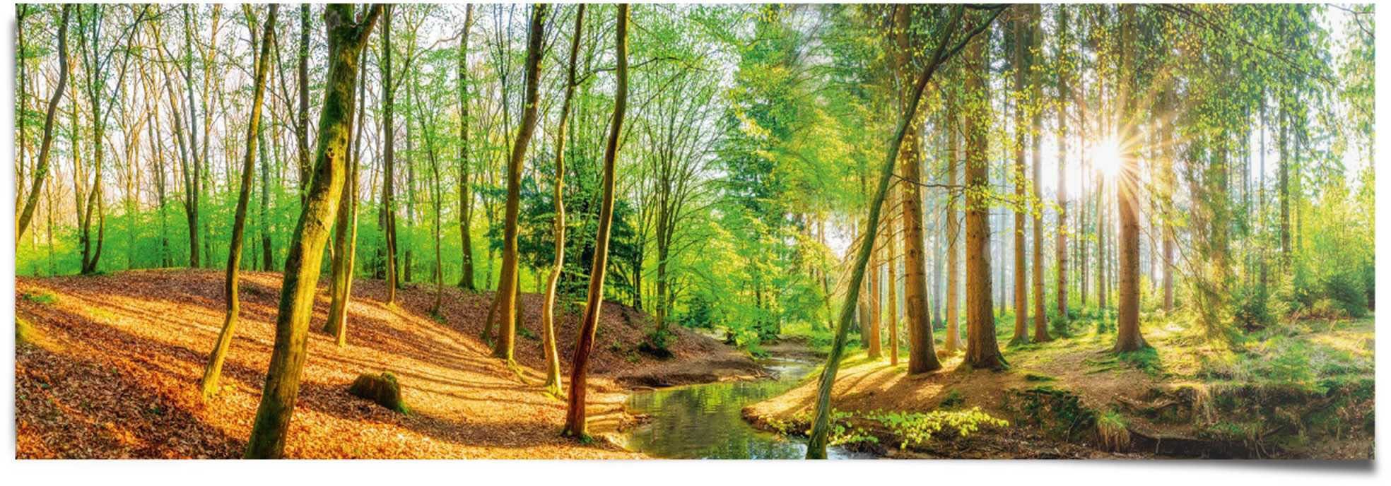 Reinders! Poster Sonniger Wald, Qualitätsprodukt - Unsere Poster werden  ausschließlich in Europa hergestellt | Kunstdrucke