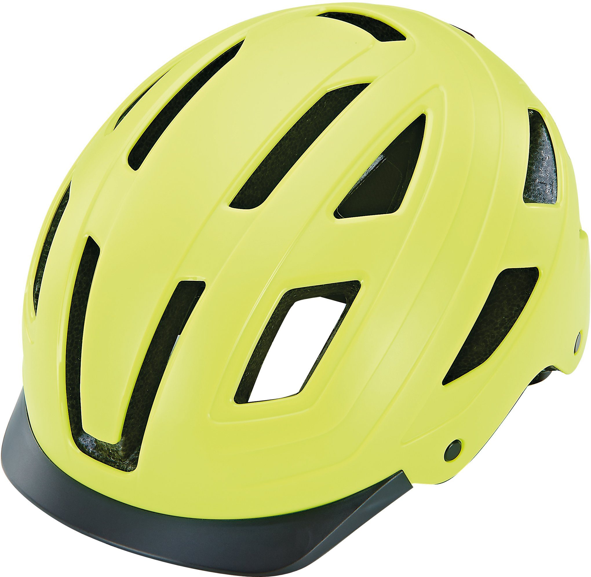 Prophete Fahrradhelm