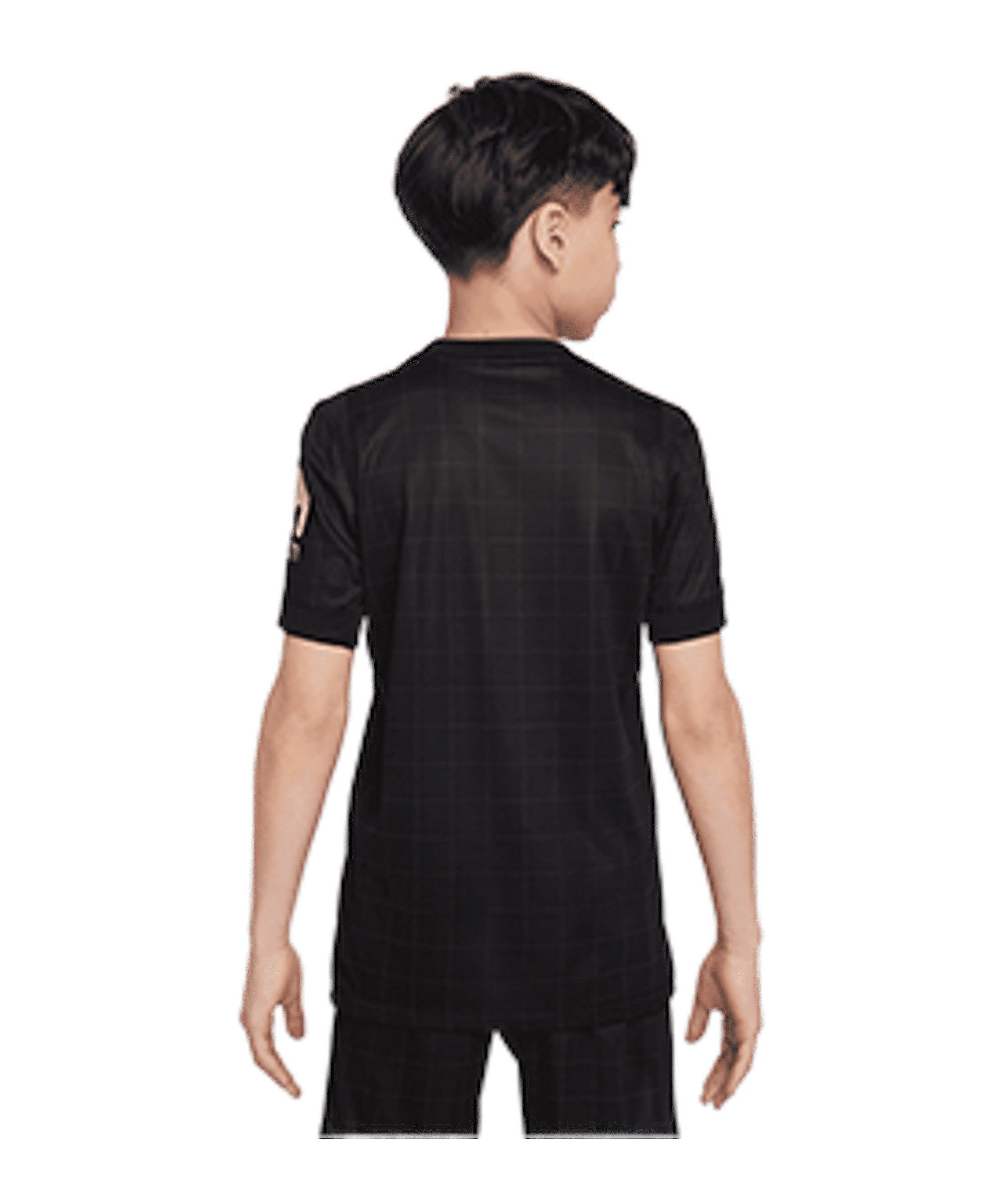 Nike Fußballtrikot Nike Performance Premier League