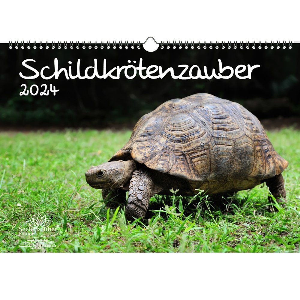 Schildkrötenzauber: Ausmalbilder für Groß und Klein – Kostenlos zum Download!
