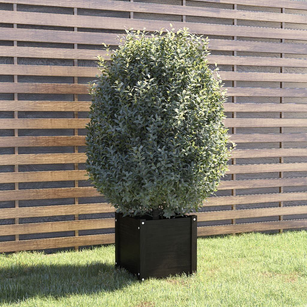 Massivholz Blumentopf (1 Pflanzkübel cm Schwarz vidaXL St) Kiefer 40x40x40
