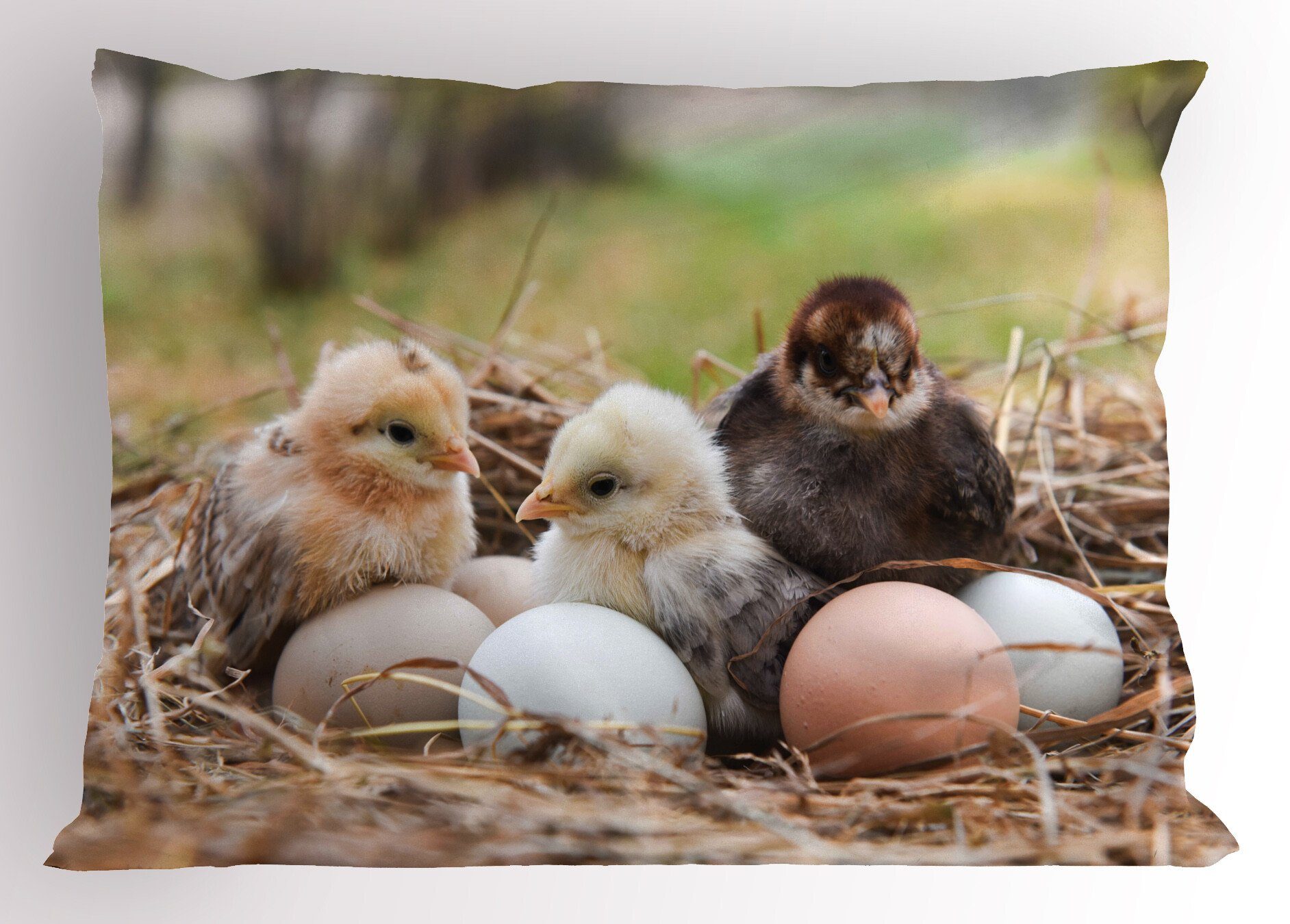 Kissenbezüge Dekorativer Standard King Size Gedruckter Kissenbezug, Abakuhaus (1 Stück), Chicks Kleine Hühner in Hay Eier